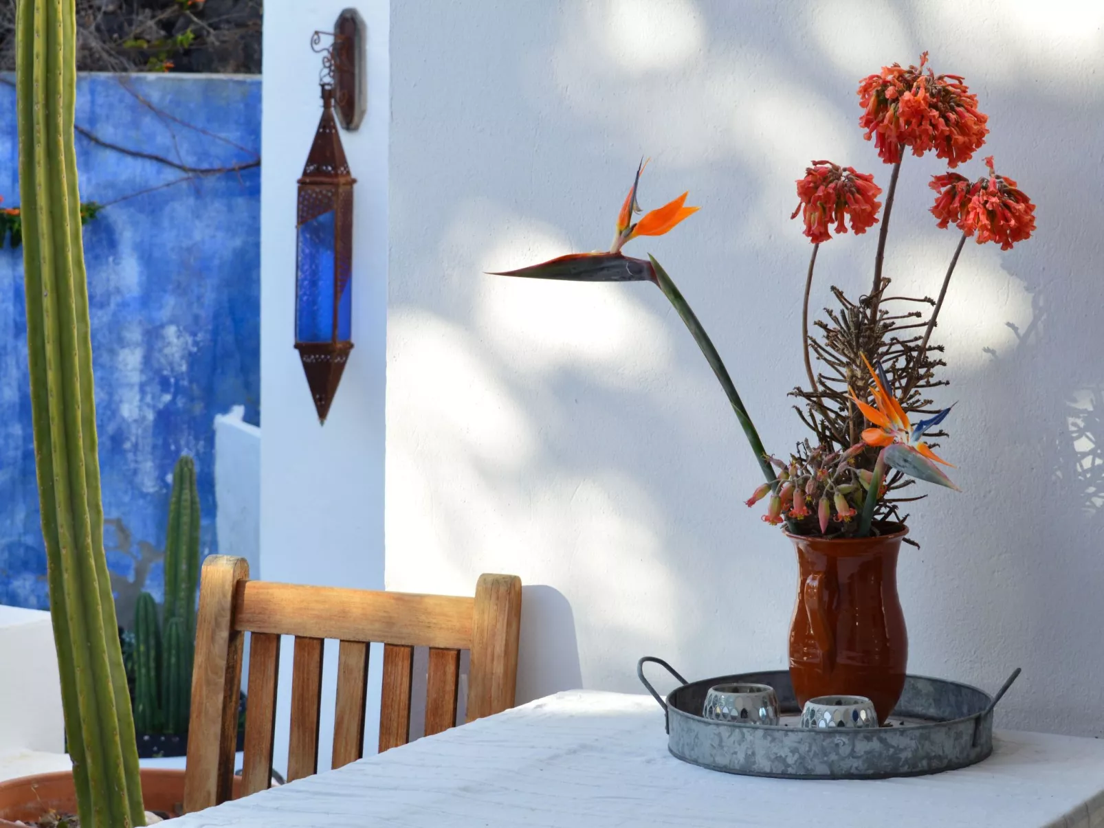 Appartement Casa Hibisco mit schönem Garten-Binnen