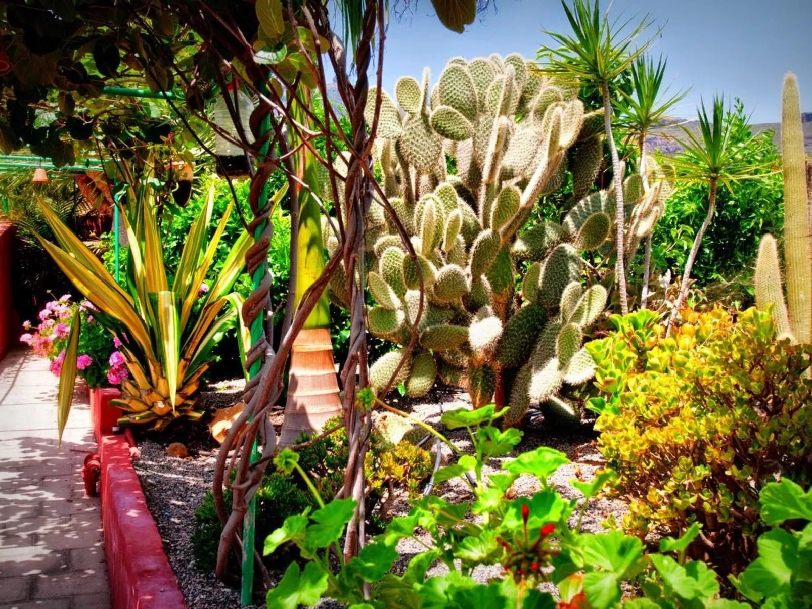 Finca mit Garten, Grill und Terrasse-Buiten