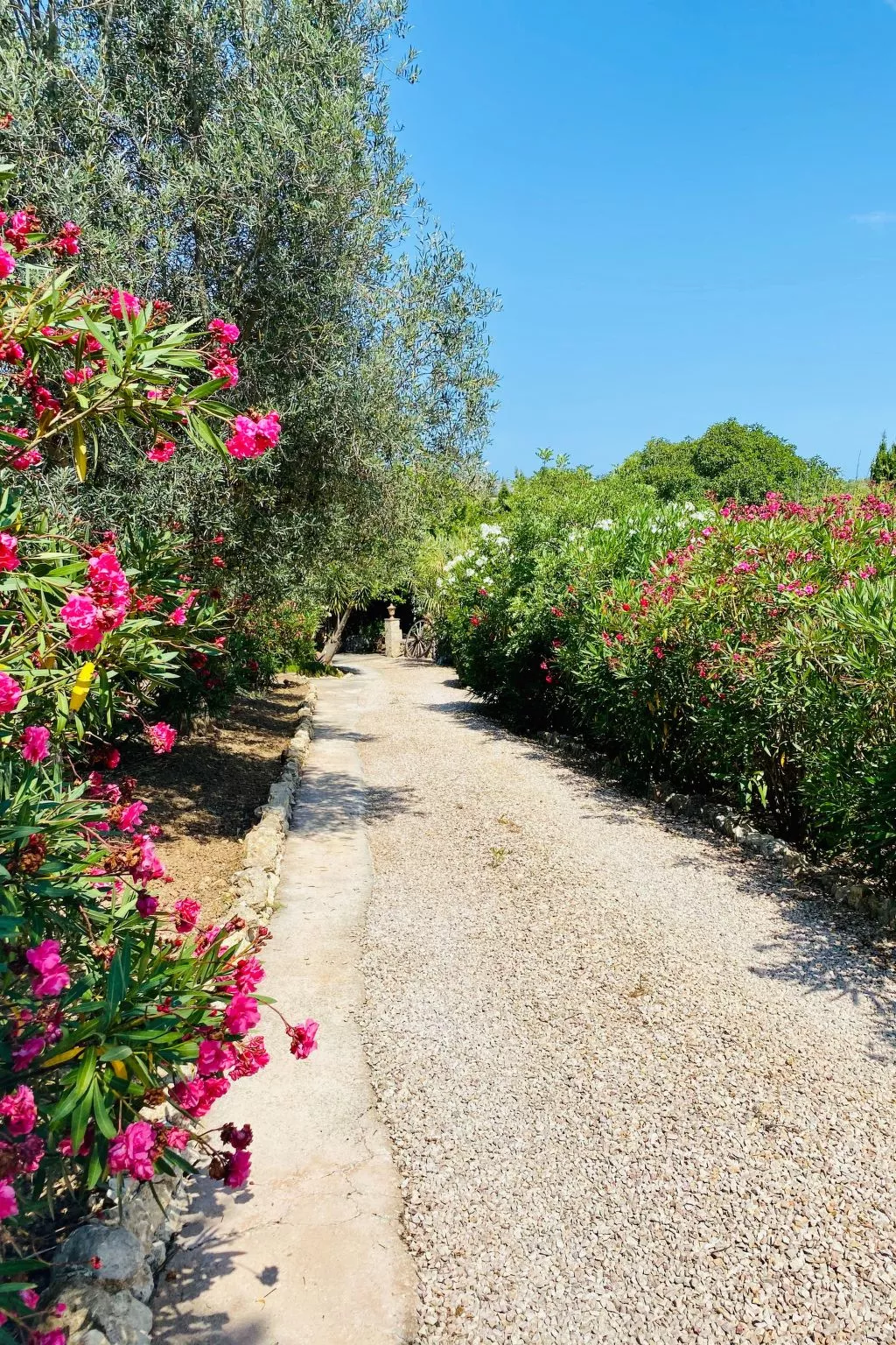 Adults Only Finca - Apartment zum entspannen-Buiten