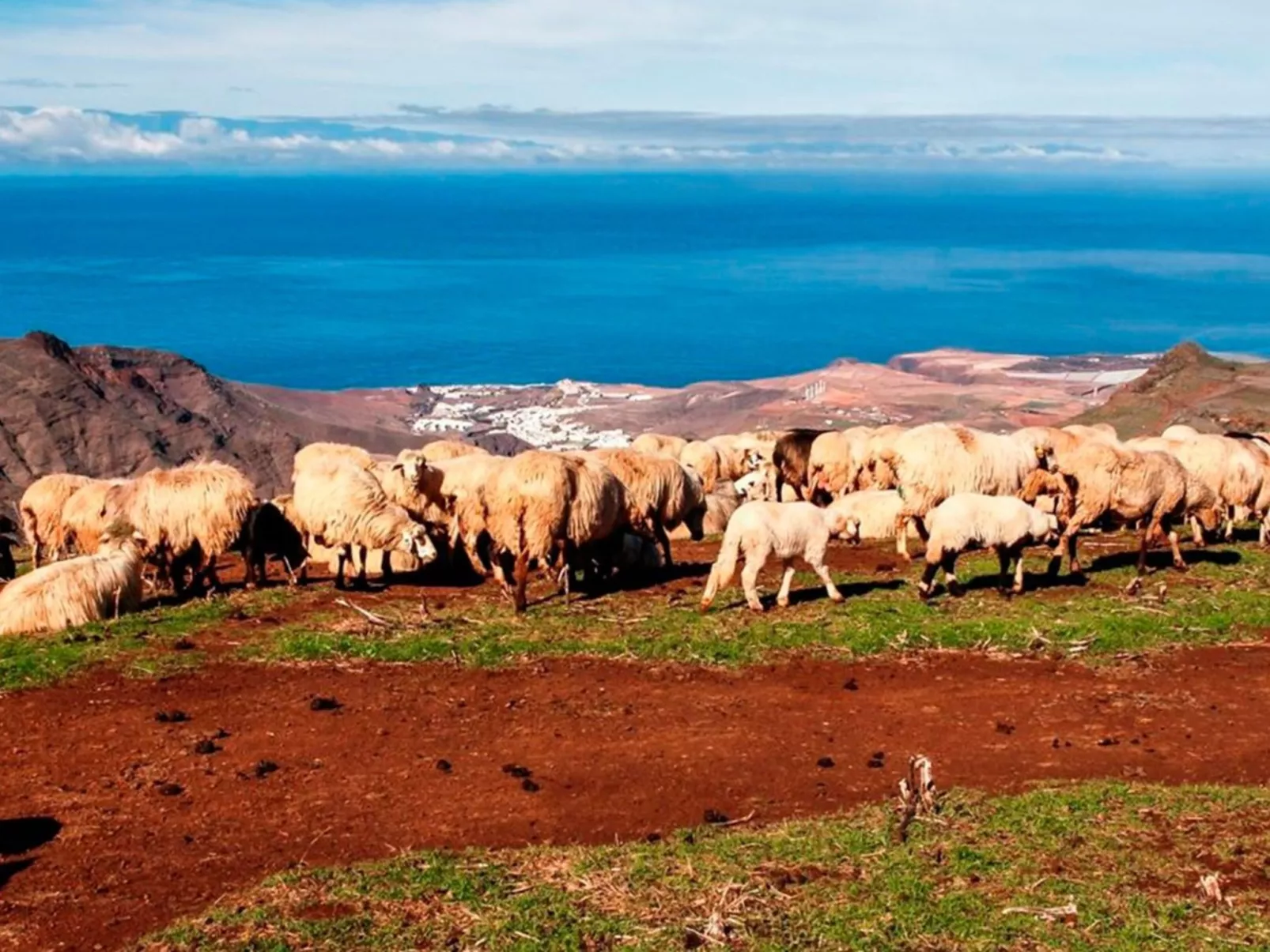 Landhaus "La Cabaña" mit Privatparkplatz-Binnen