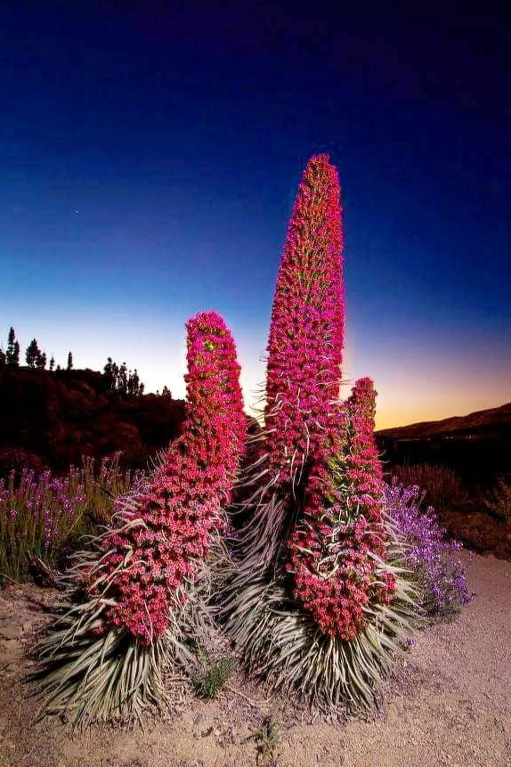 Luxuriöser Rückzugsort mit direktem Meerzugang und Pool-Binnen