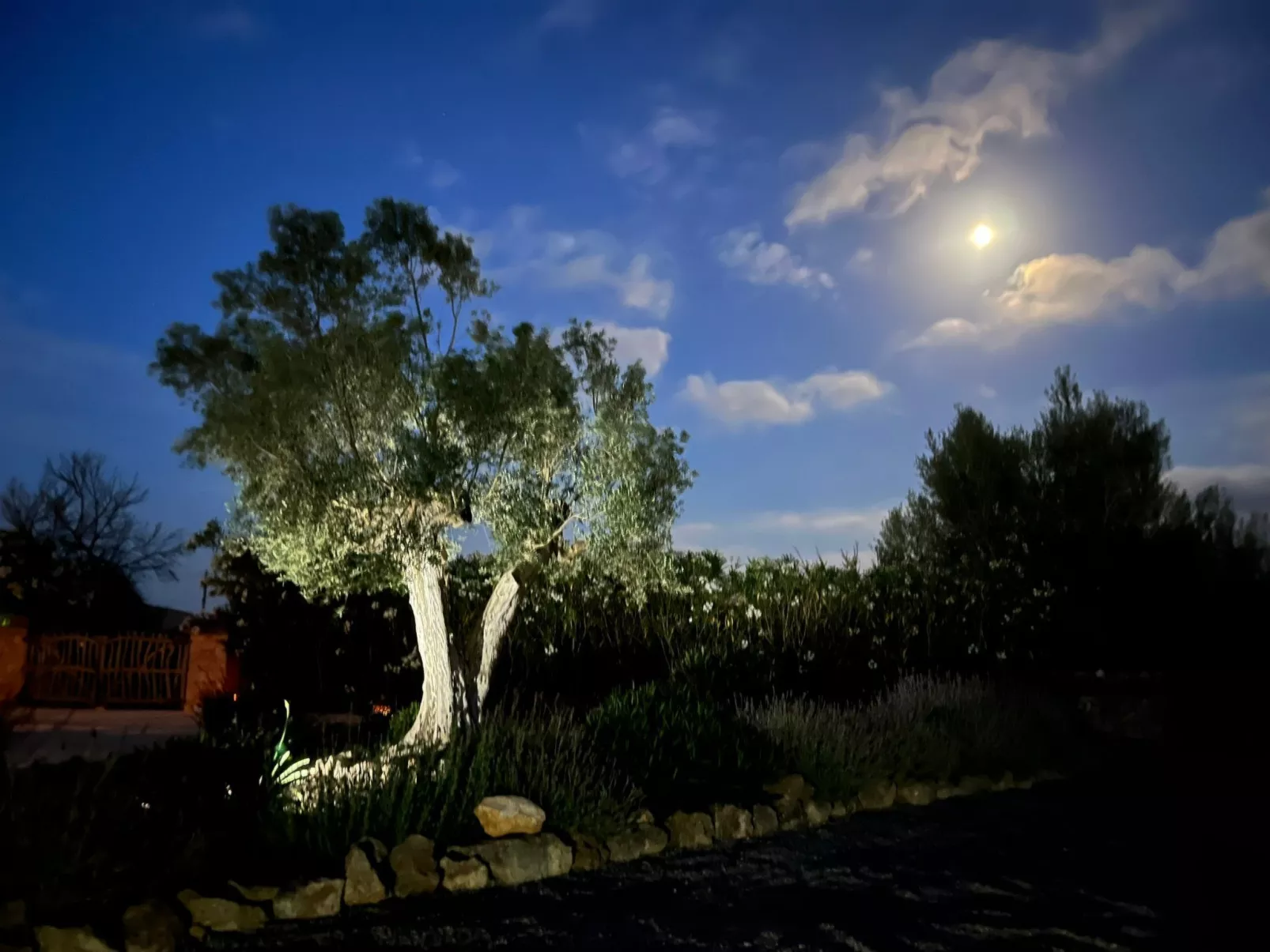 Finca Can Llop-Buiten