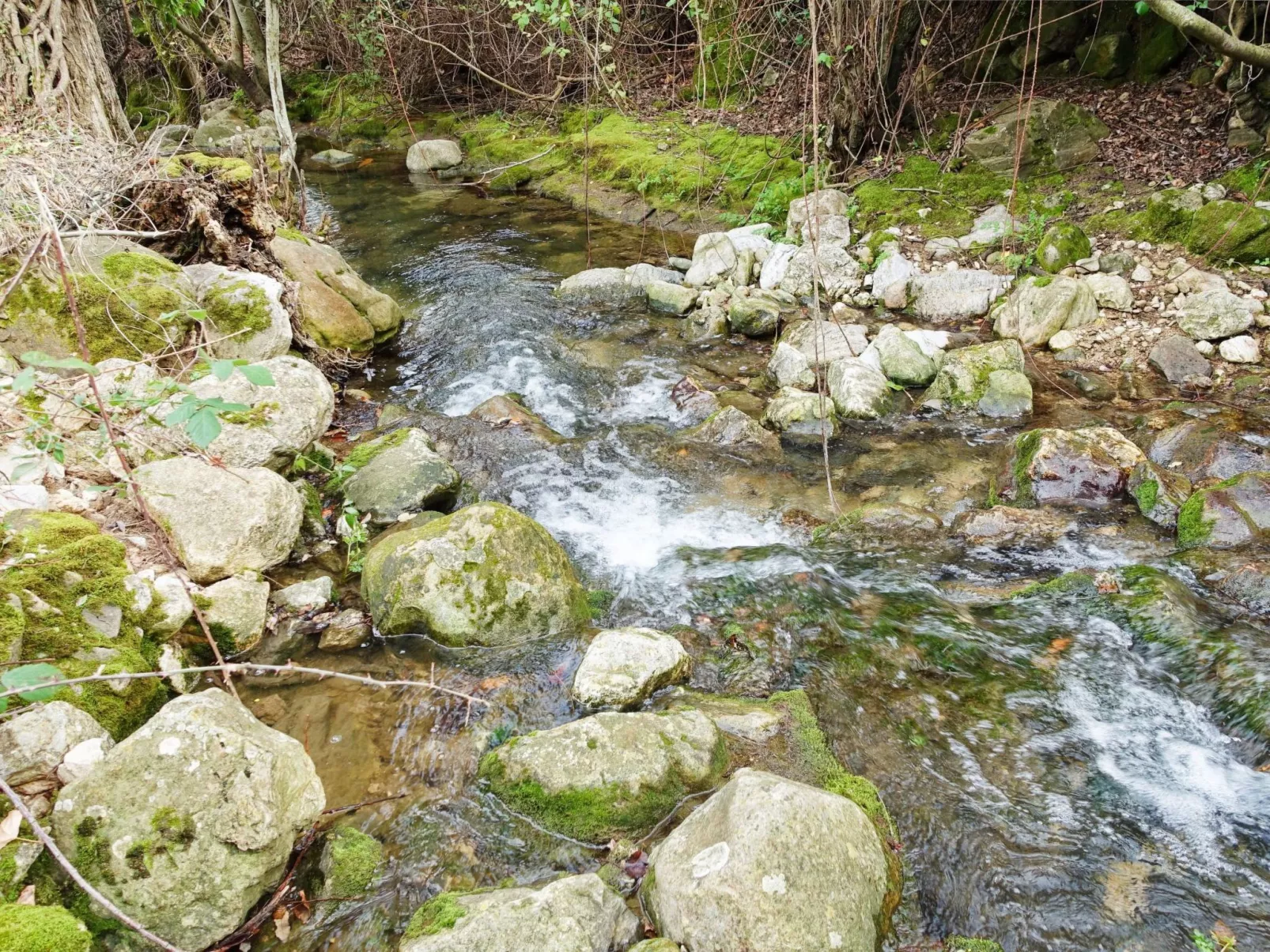 Gemütliches Landhaus Betania in Grazalema-Binnen
