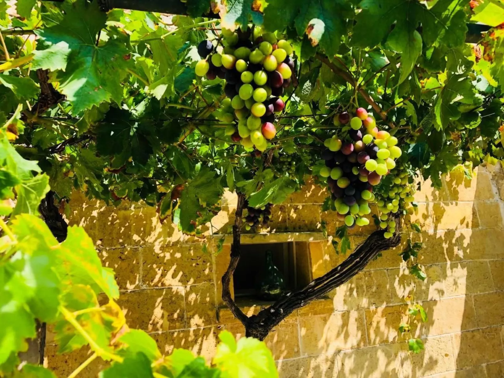 Wunderschönes Ferienhaus in Galatone-Image-tags.info