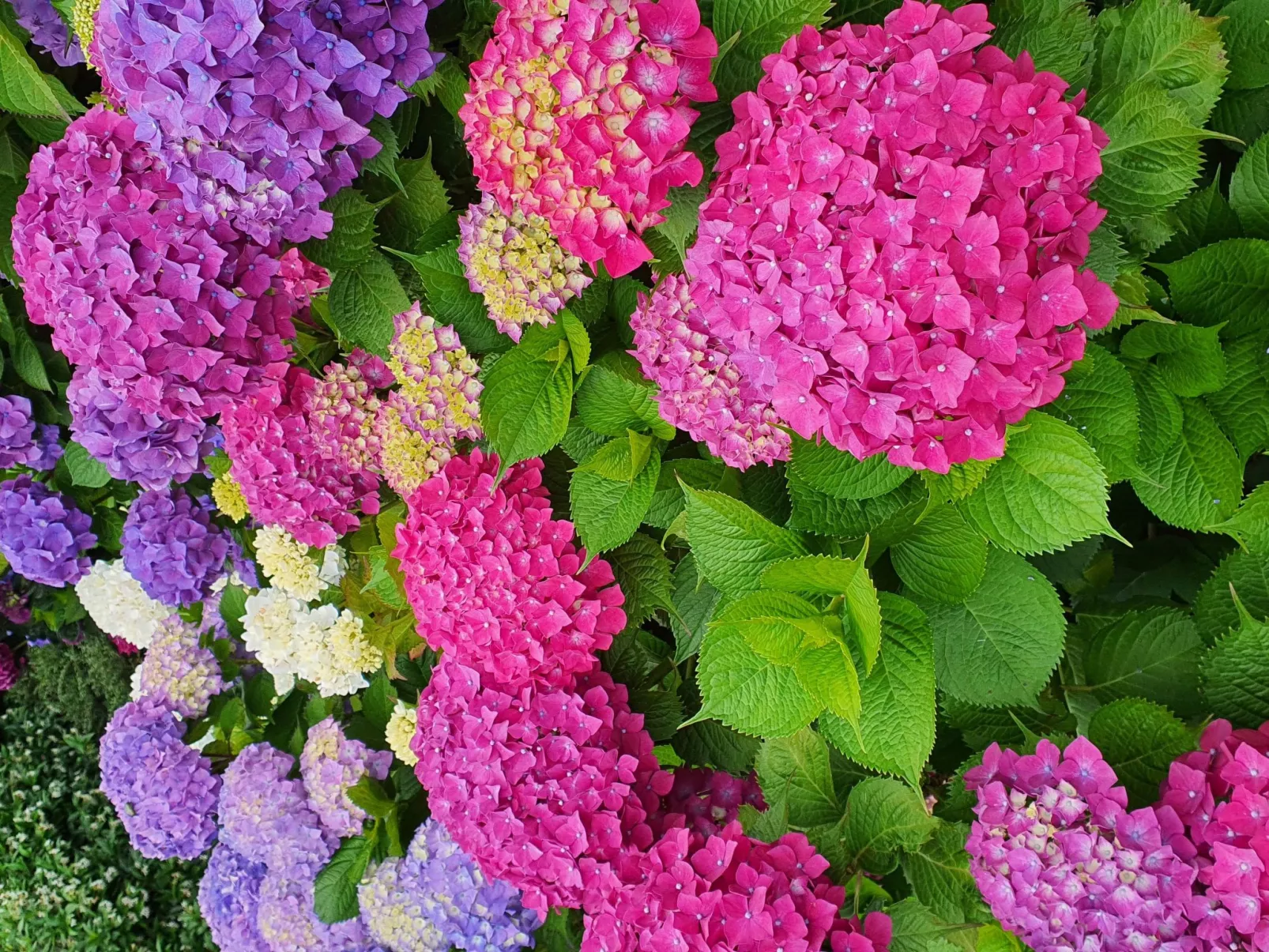 Wohnung mit Privatparkplatz und schöner Aussicht-Buiten