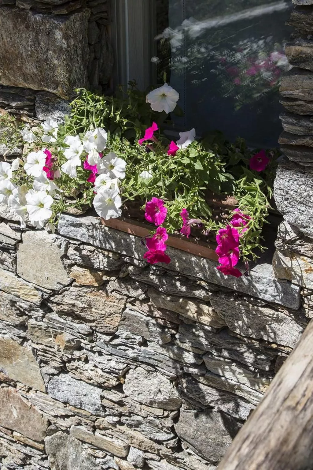 Lampone in San Bernardino Verbano-Buiten