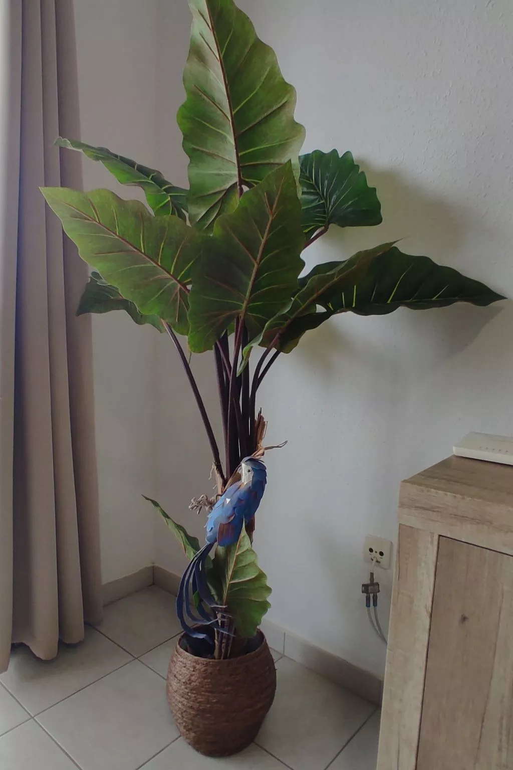 Wohnung Silvia-Image-tags.info