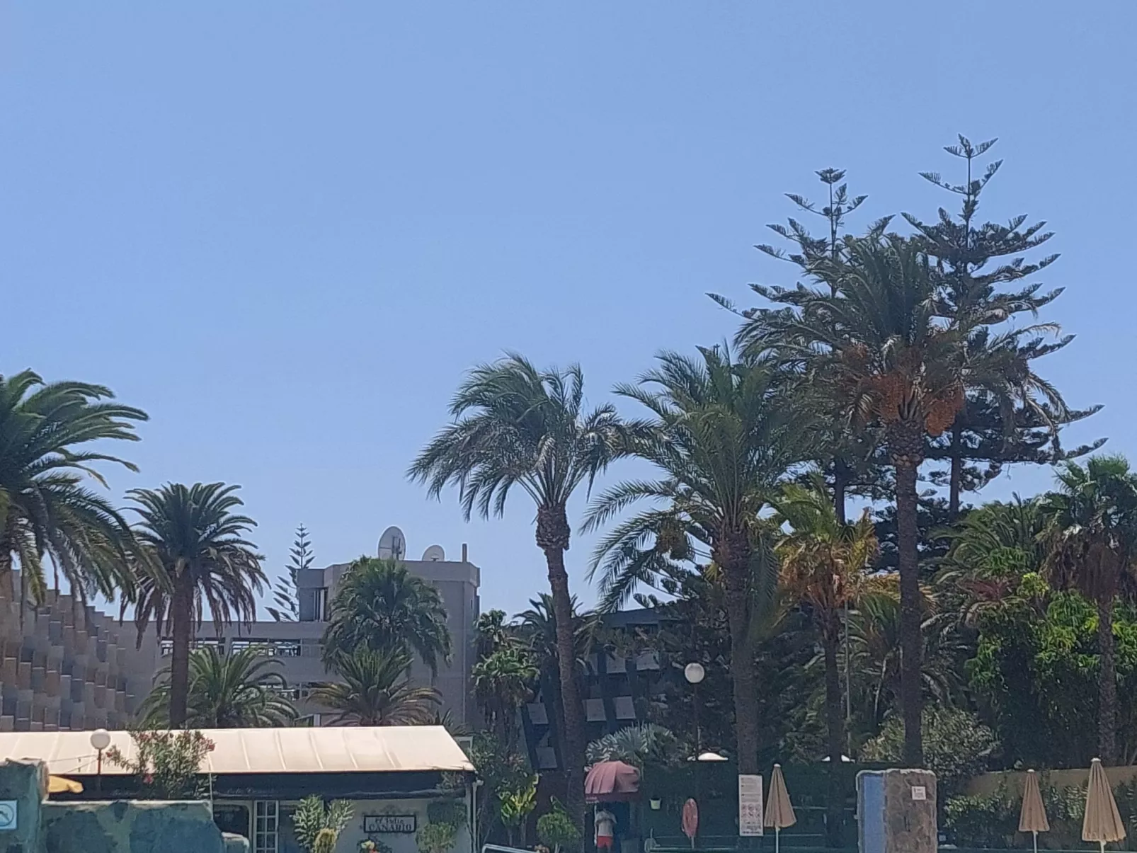 Wohnung "Agaete Parque"-Binnen