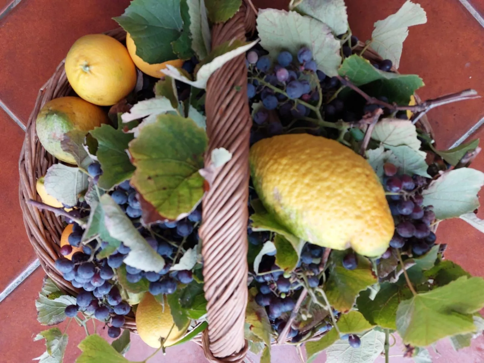 Entspannung, Meer, Natur, Kultur-Binnen