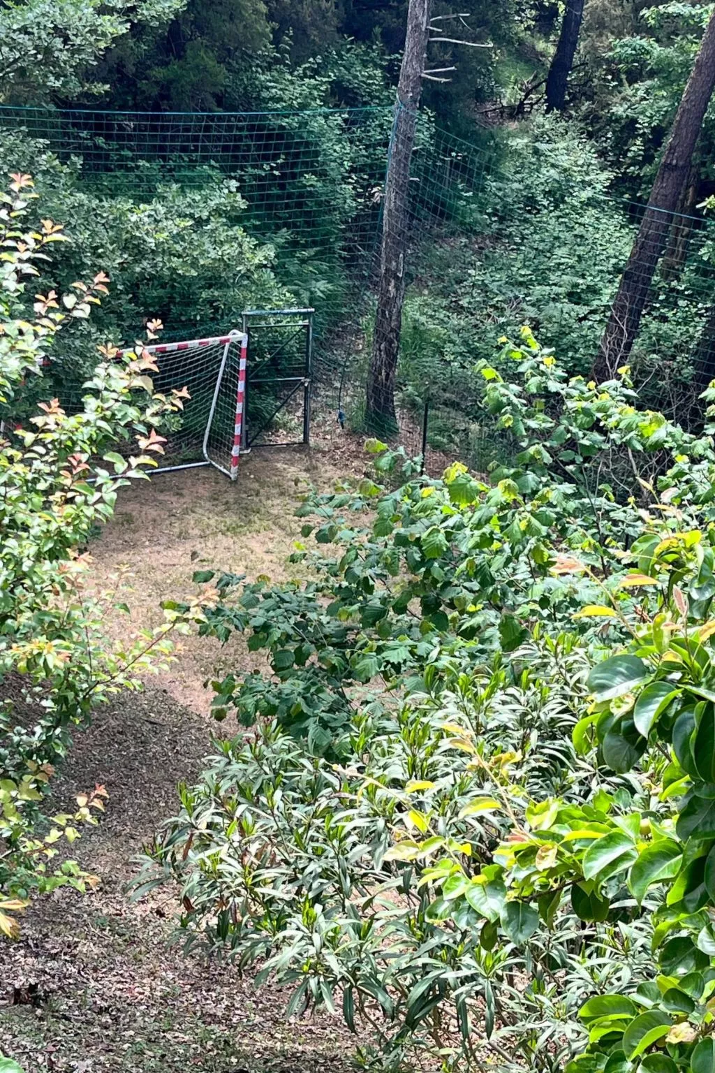 Villa im Grünen Civico 2 in Uzzano-Buiten