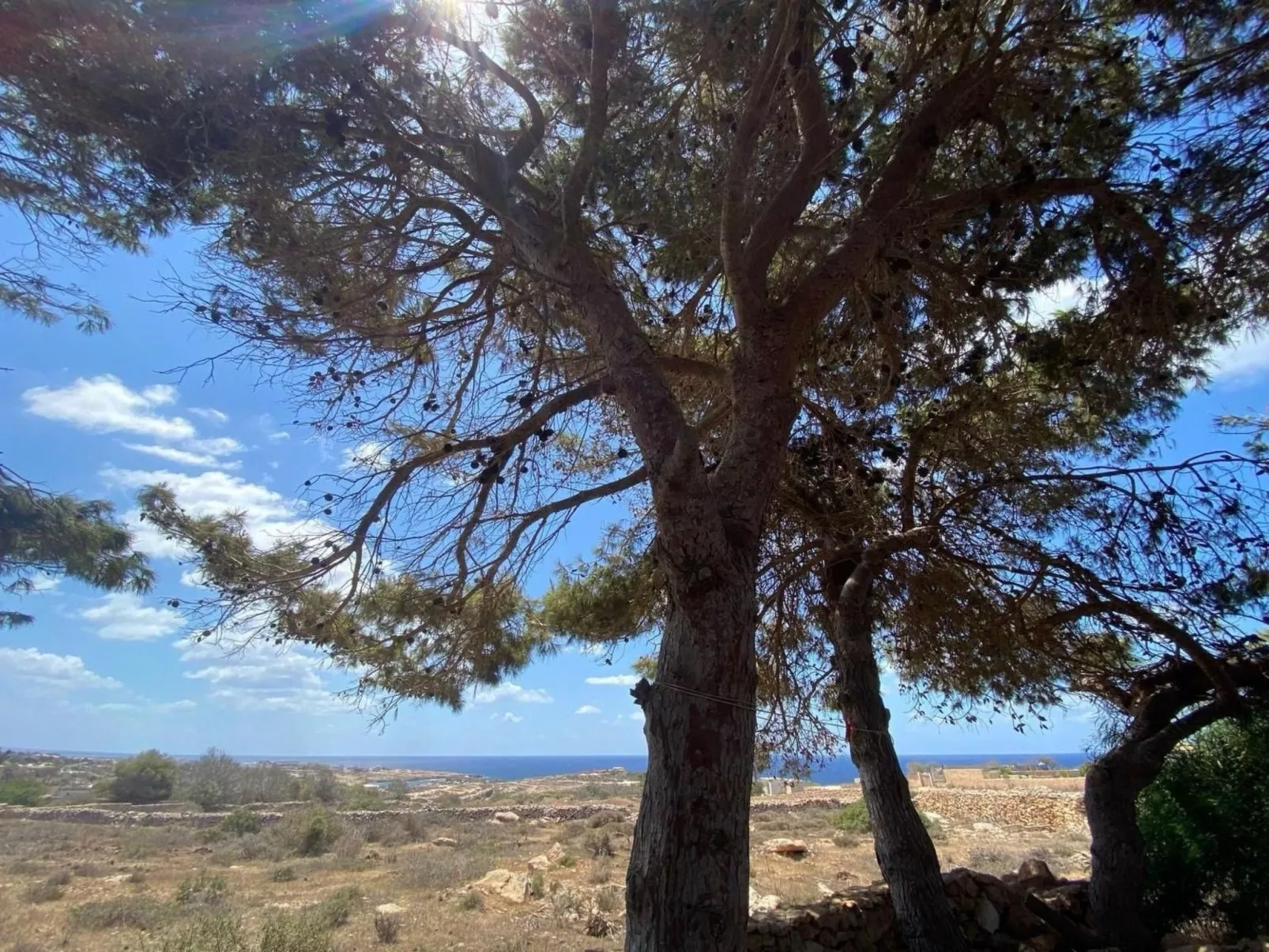 Mar D'Africa 2 von Holiday World-Buiten