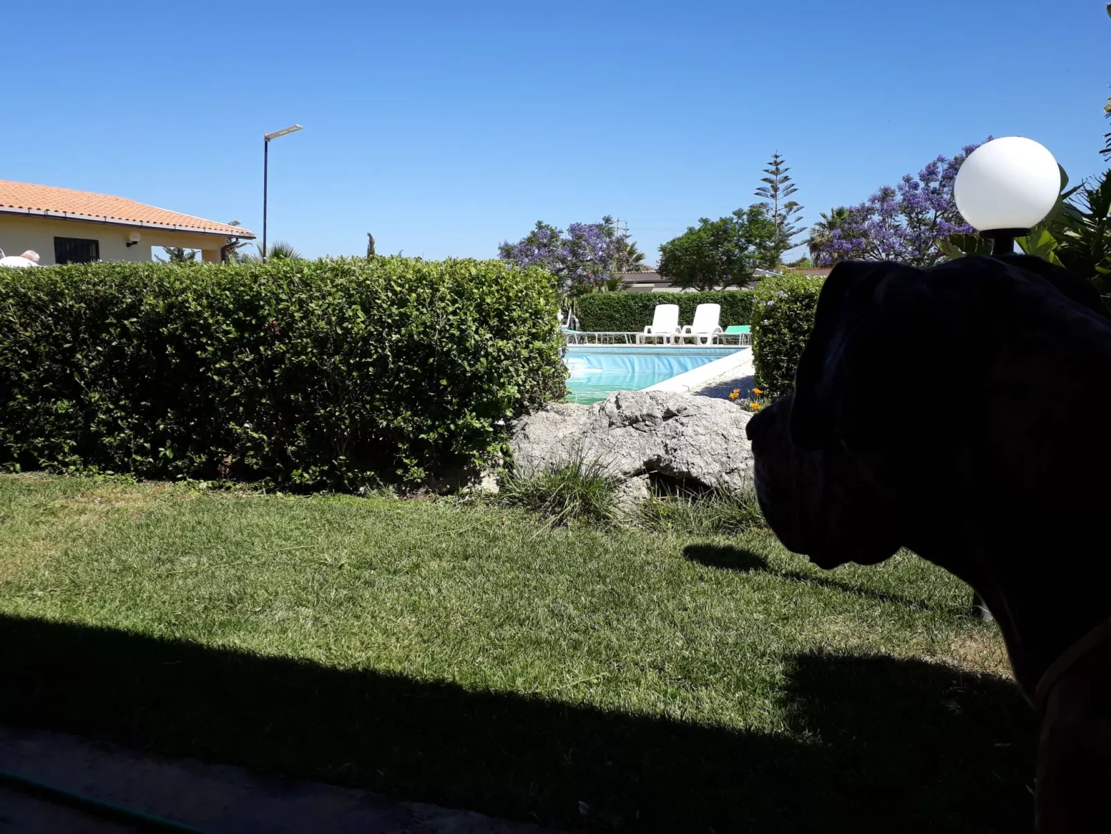 Wohnung 5 - Zwei-Zimmer-Wohnung-Binnen