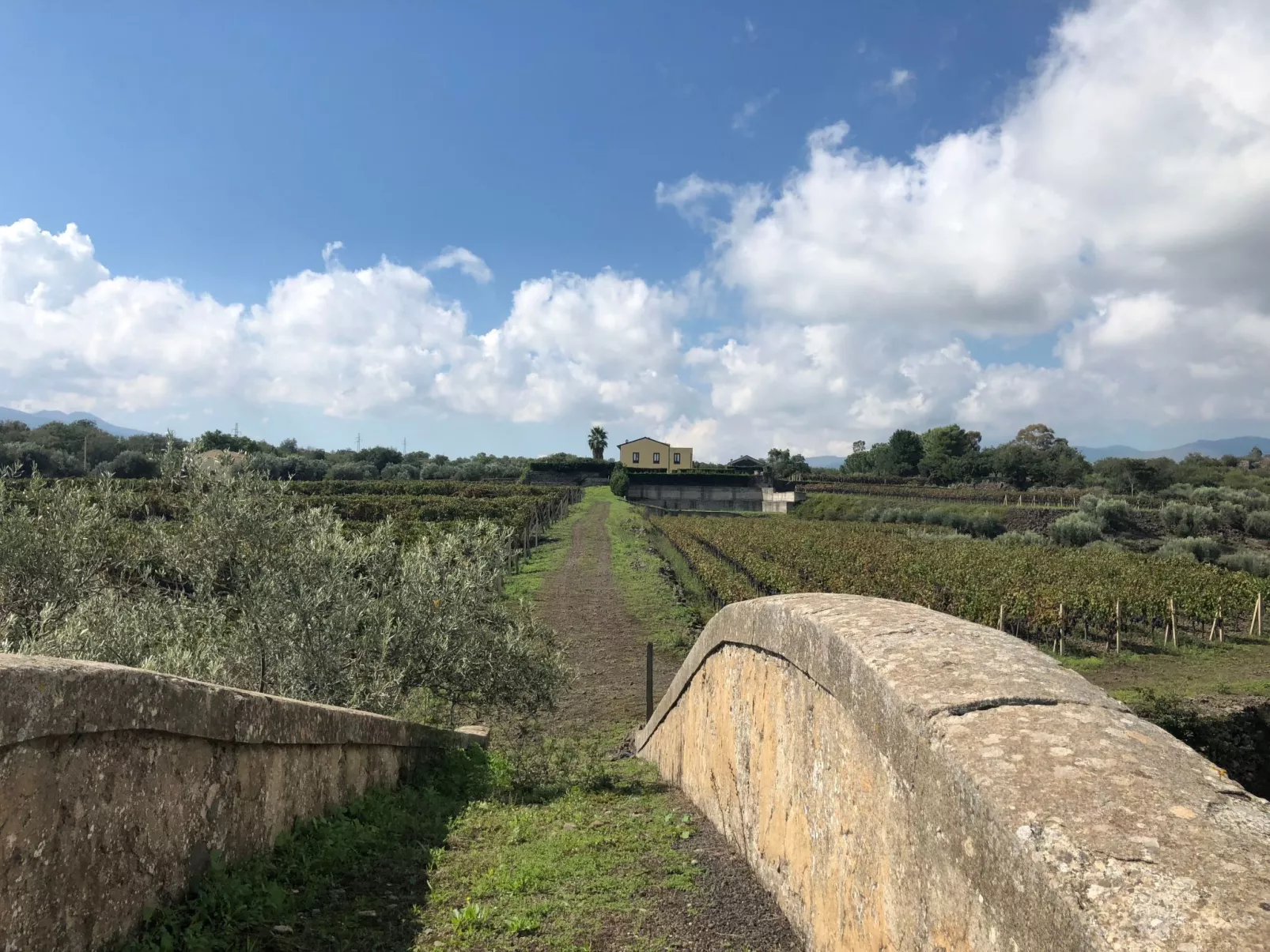 Villa Nocellara", umgeben von Weinbergen-Buiten