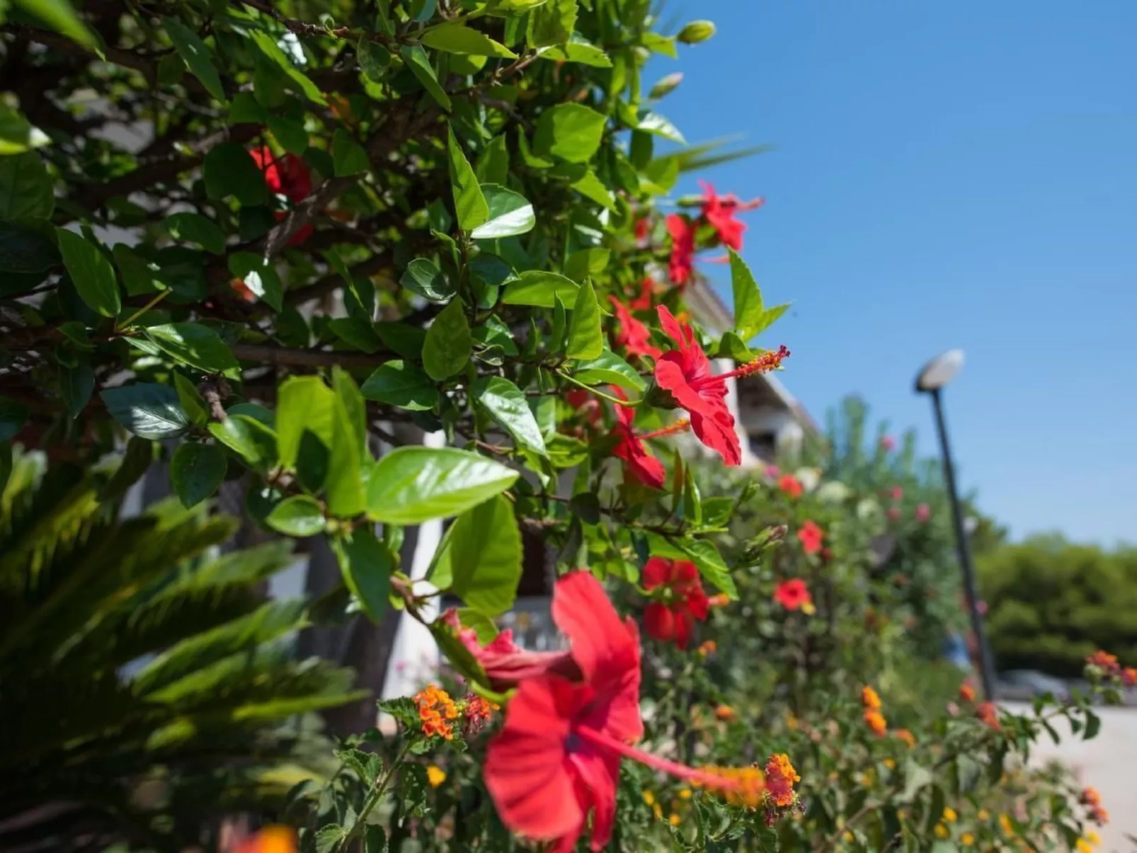 Wohnung mit Wasserblick-Binnen
