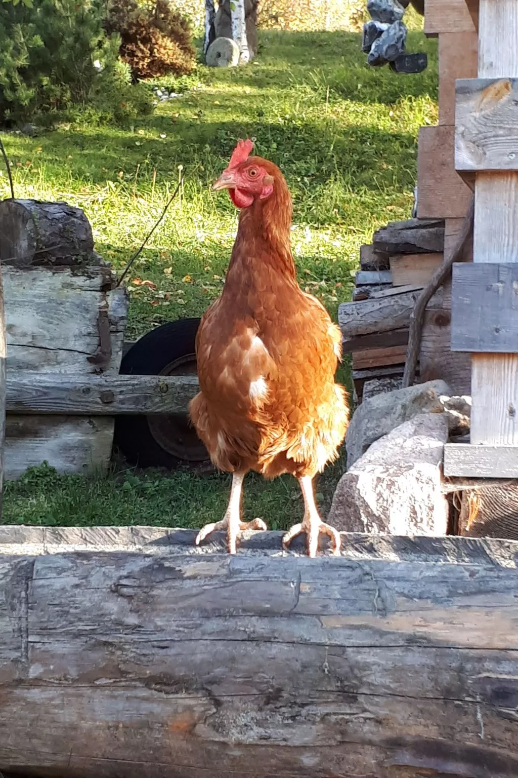 Kompatscherhof-Buiten