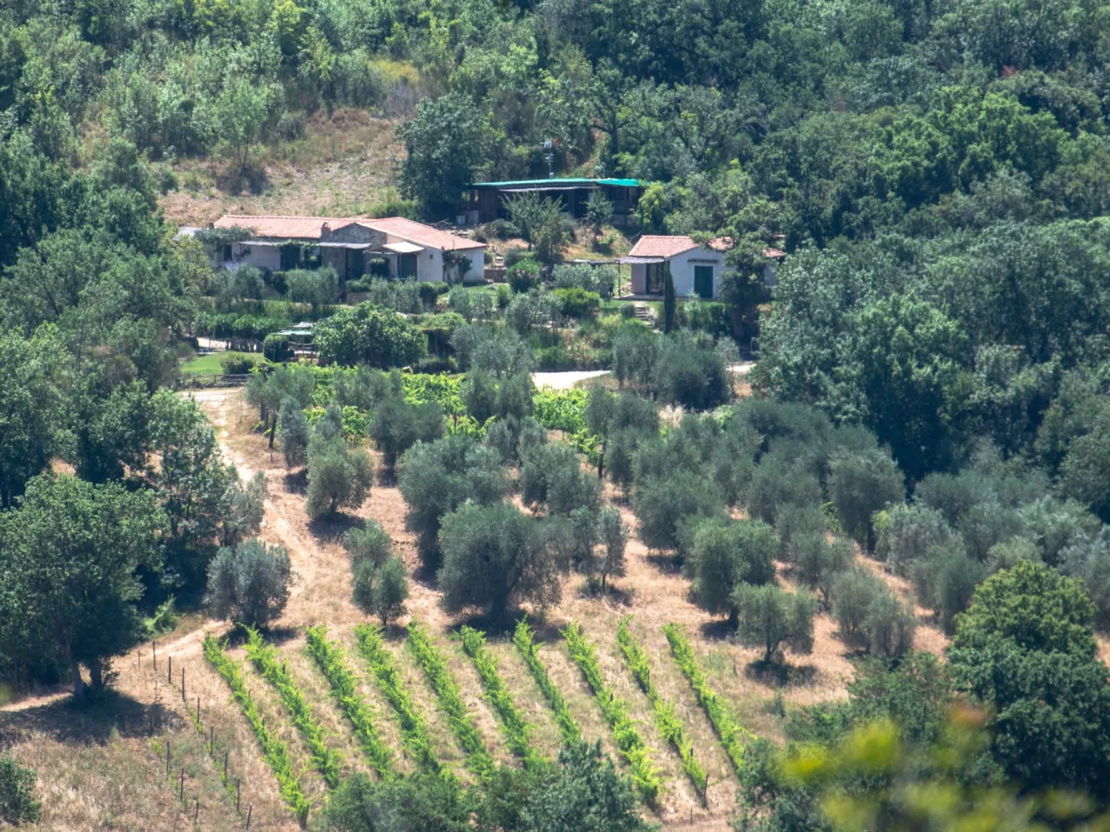 Il Borghetto, bis zu 19 Betten - Image-tags.info