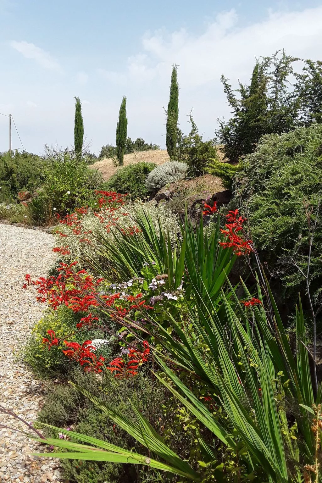 LaPorcilaia, Ferienwohnung mit Seeblick. - Buiten