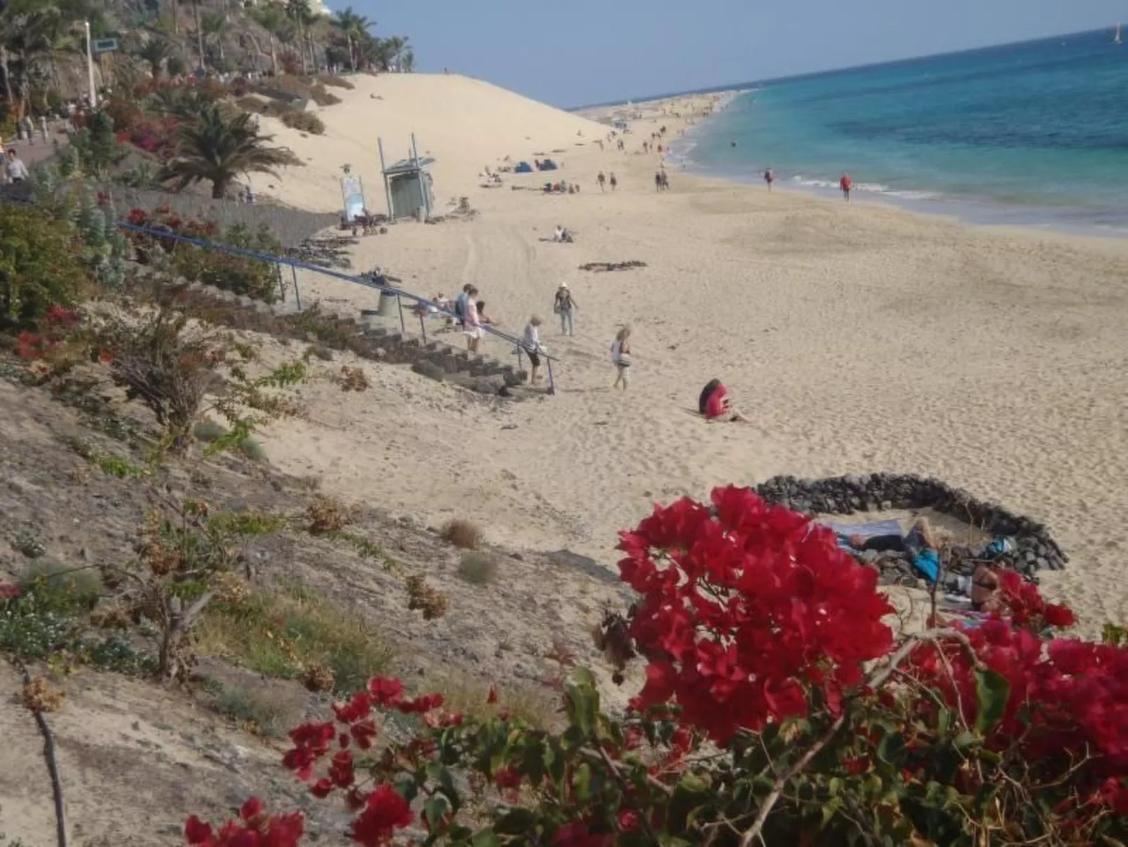 Tajinaste SOL-Binnen