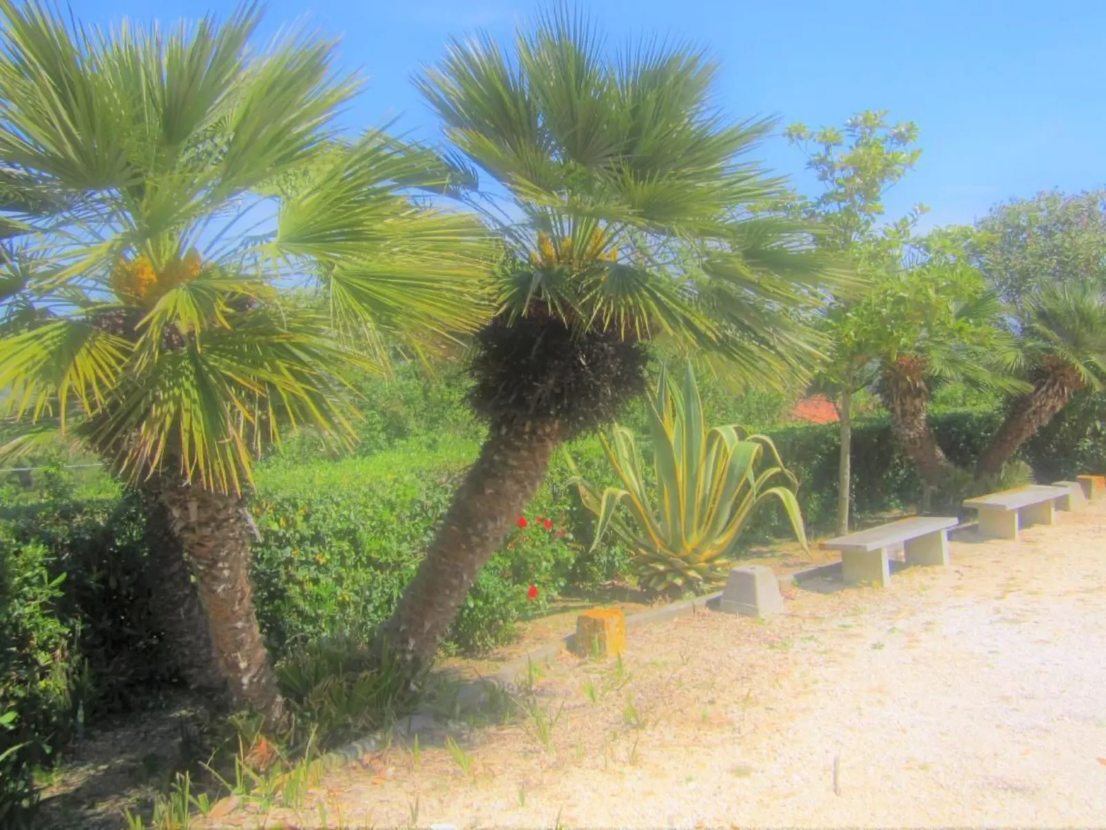 Mit Wasserblick-Binnen