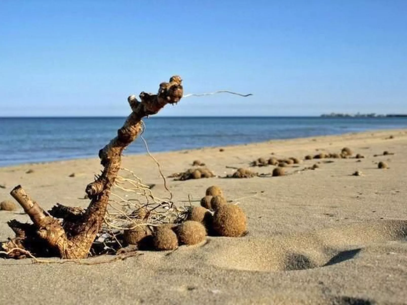 Wohnung 'Villa Cavarra 2-Image-tags.info