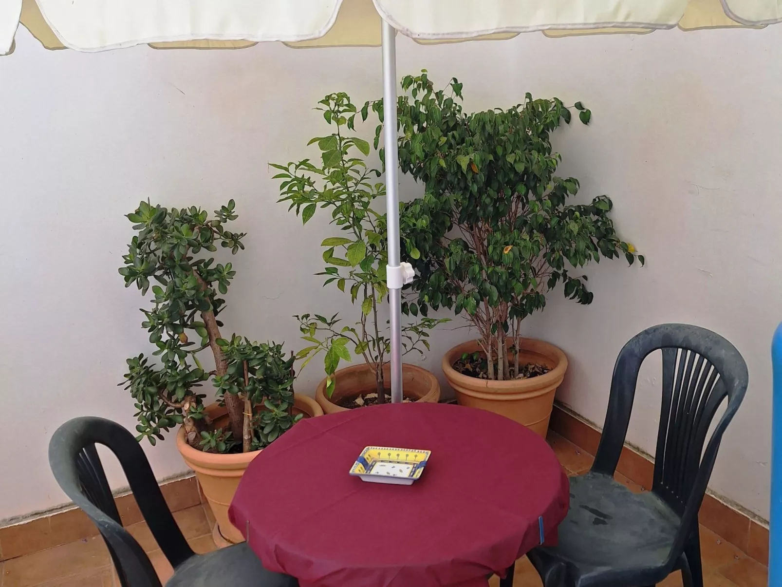 'Corte Pizziniaco'-Image-tags.info