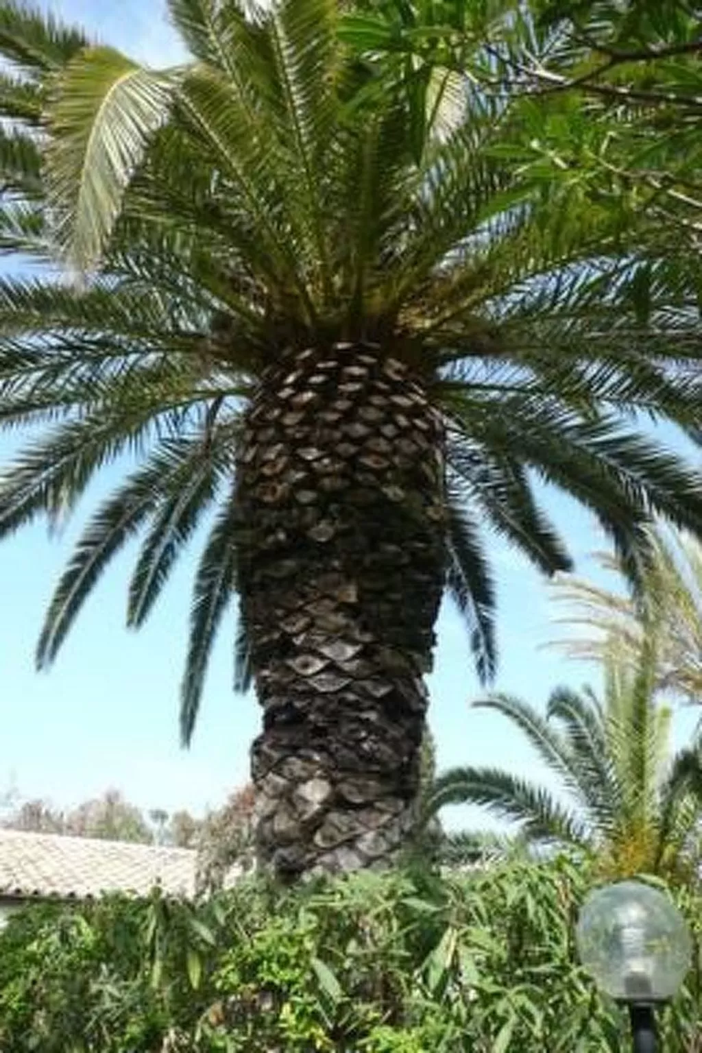 Schöner zentraler Bungalow direkt am Sandstrand auf Sizilien-Binnen
