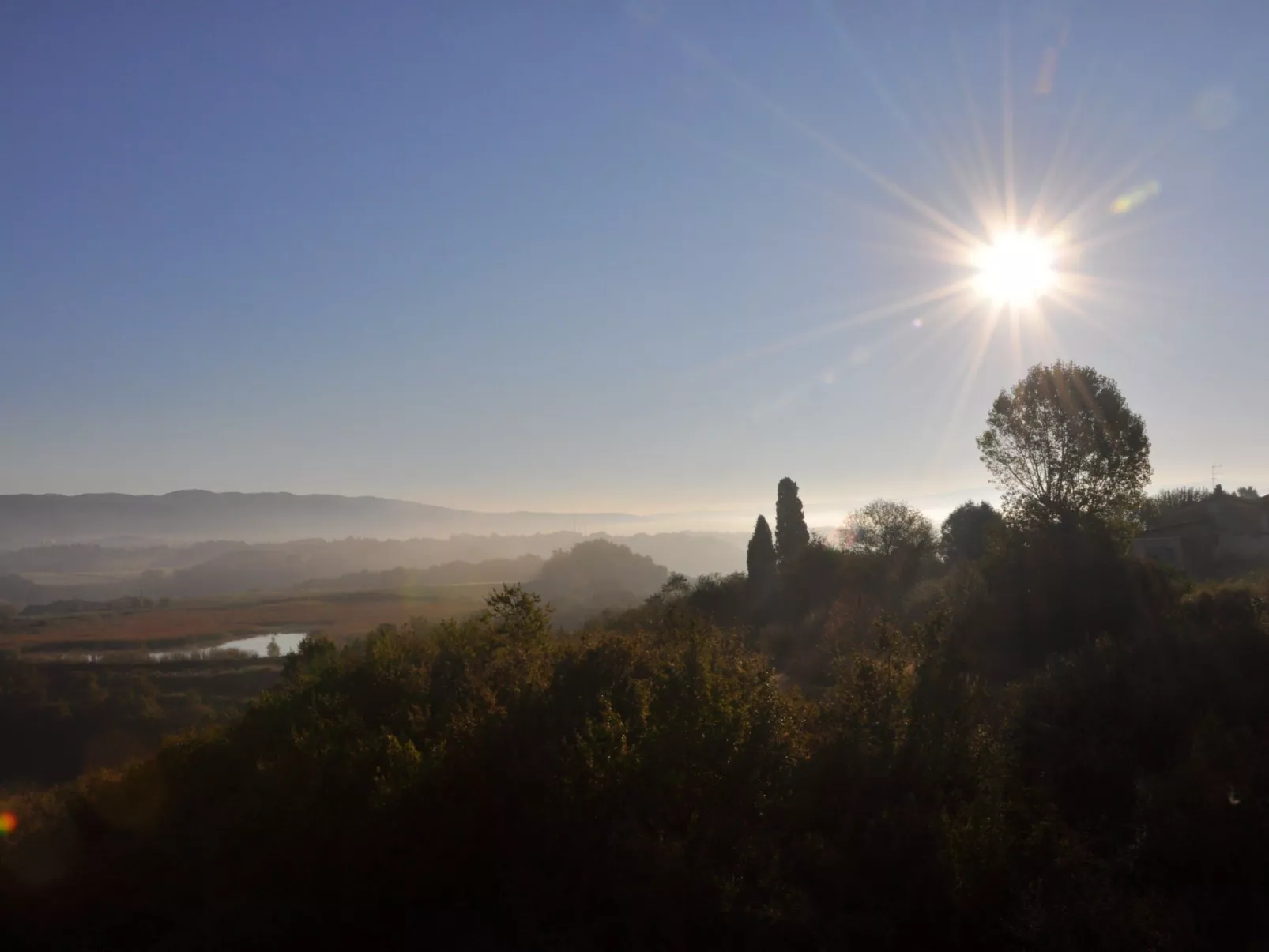 Sonnenblume Wohnung-Binnen