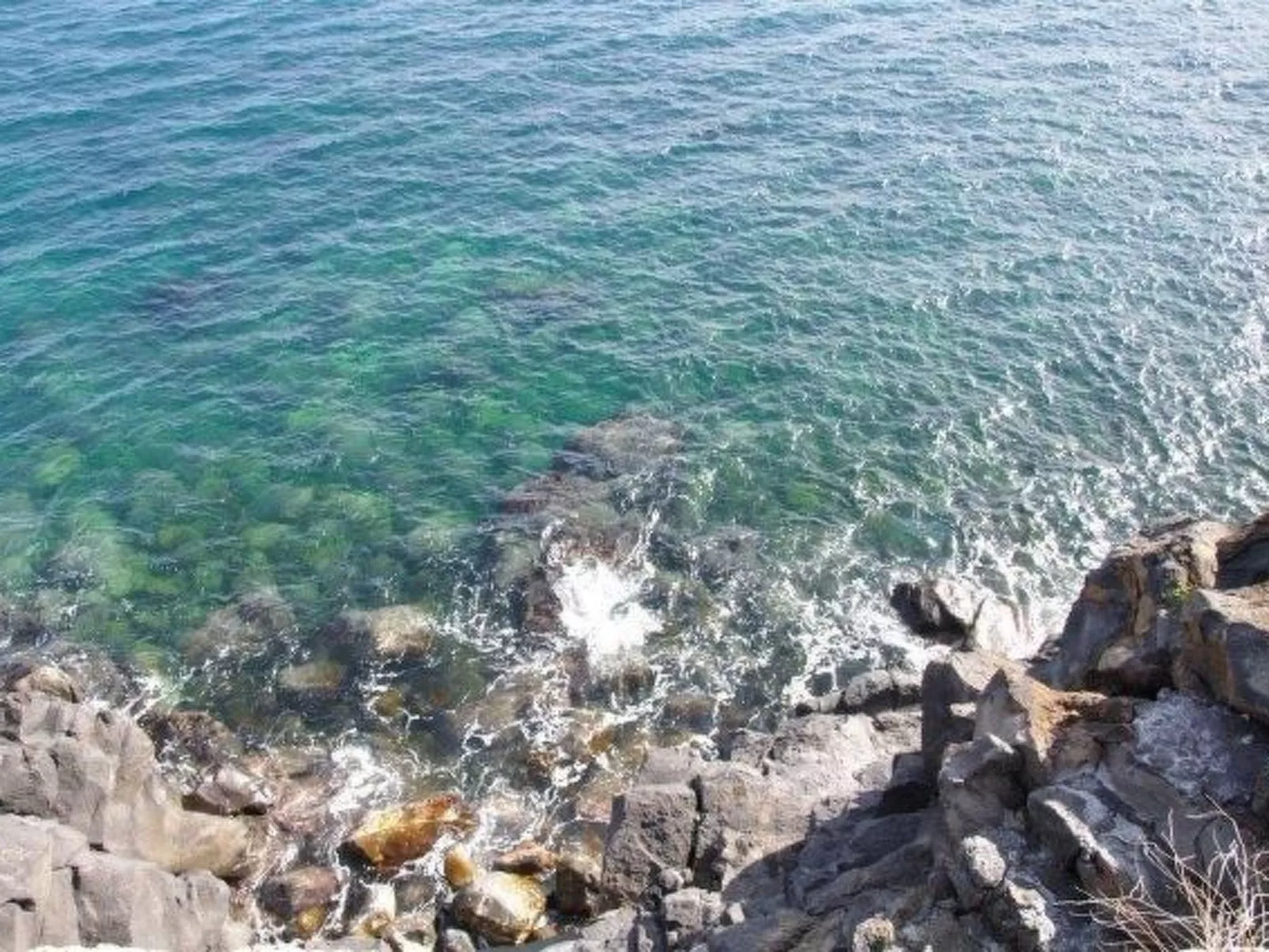 Einzimmerwohnung mit Terrasse-Binnen