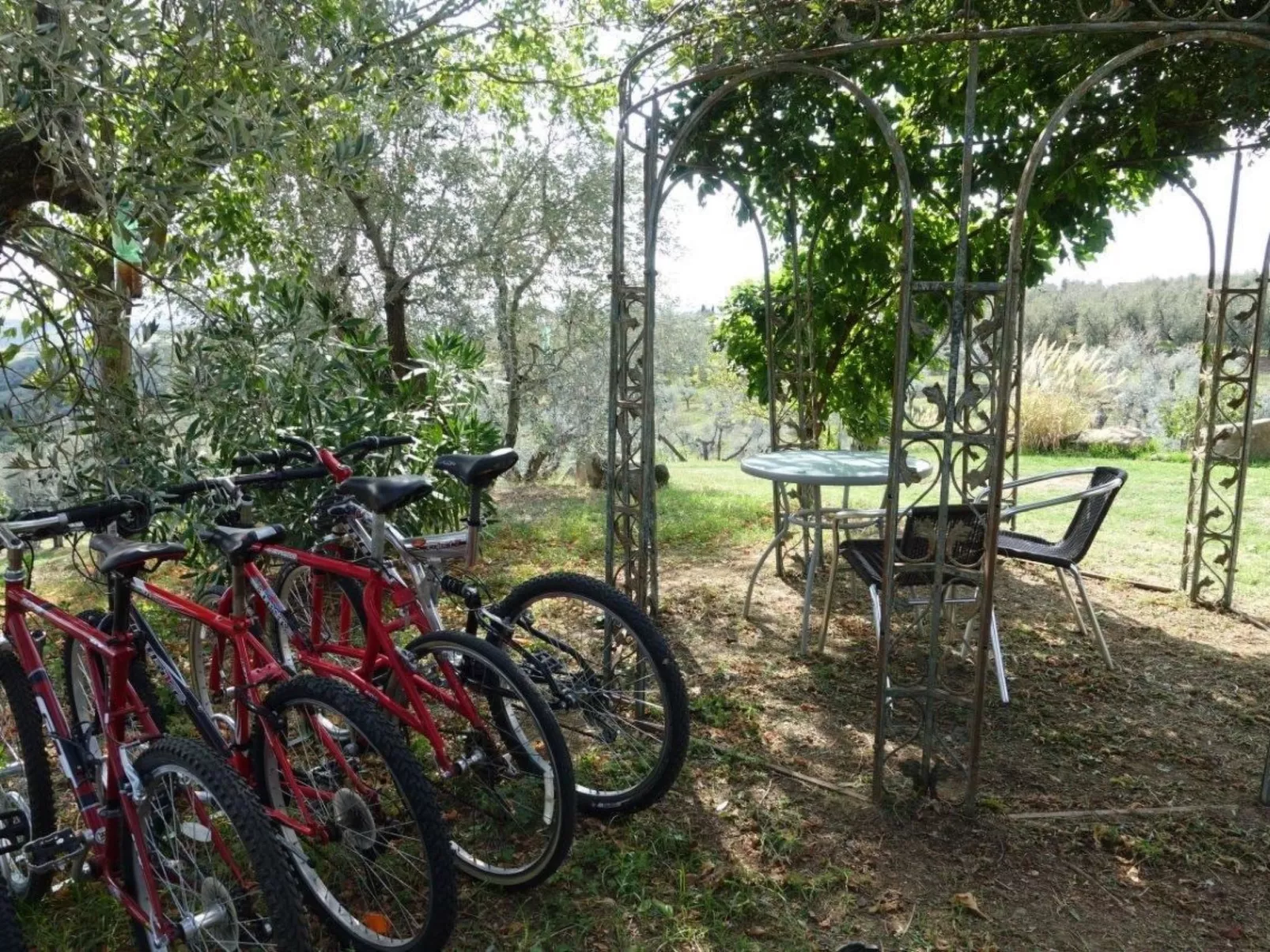 Teil eines alten toskanischen Bauernhauses für 4-6 Personen-Buiten