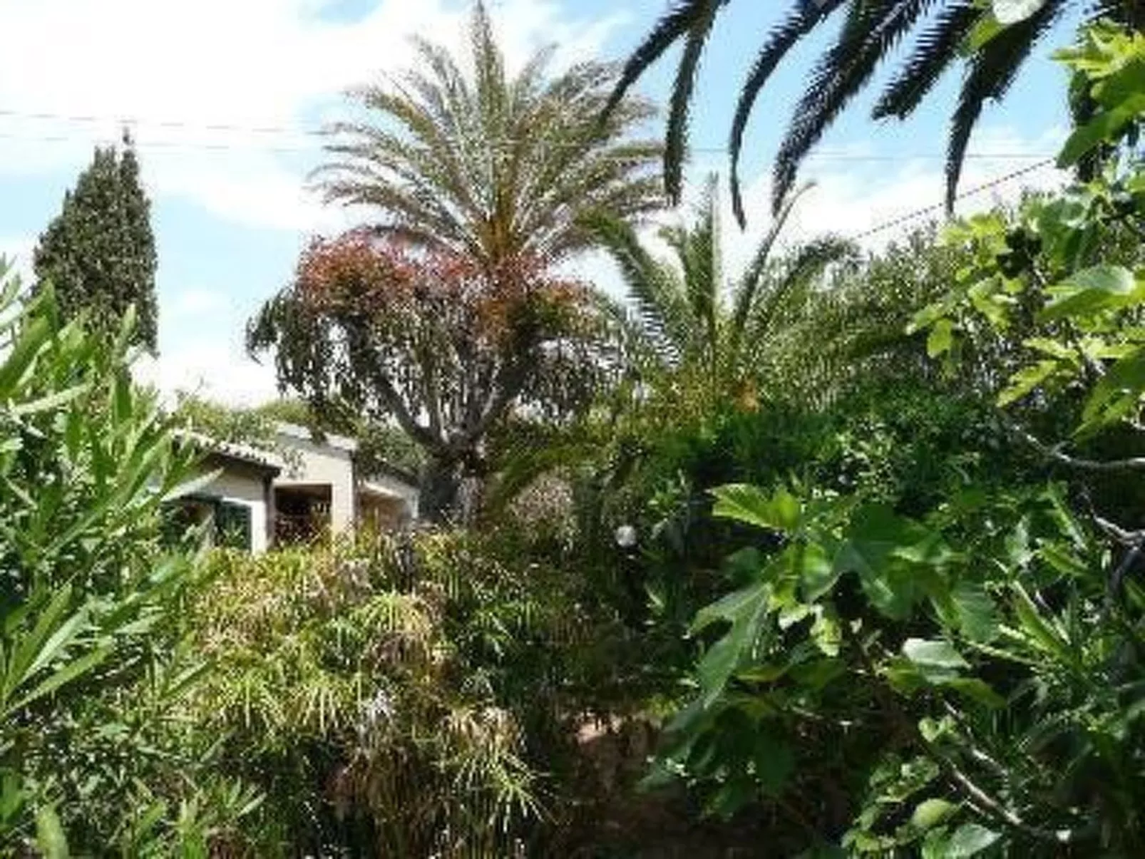 Schöner Bungalow direkt am Sandstrand auf Sizilien-Binnen