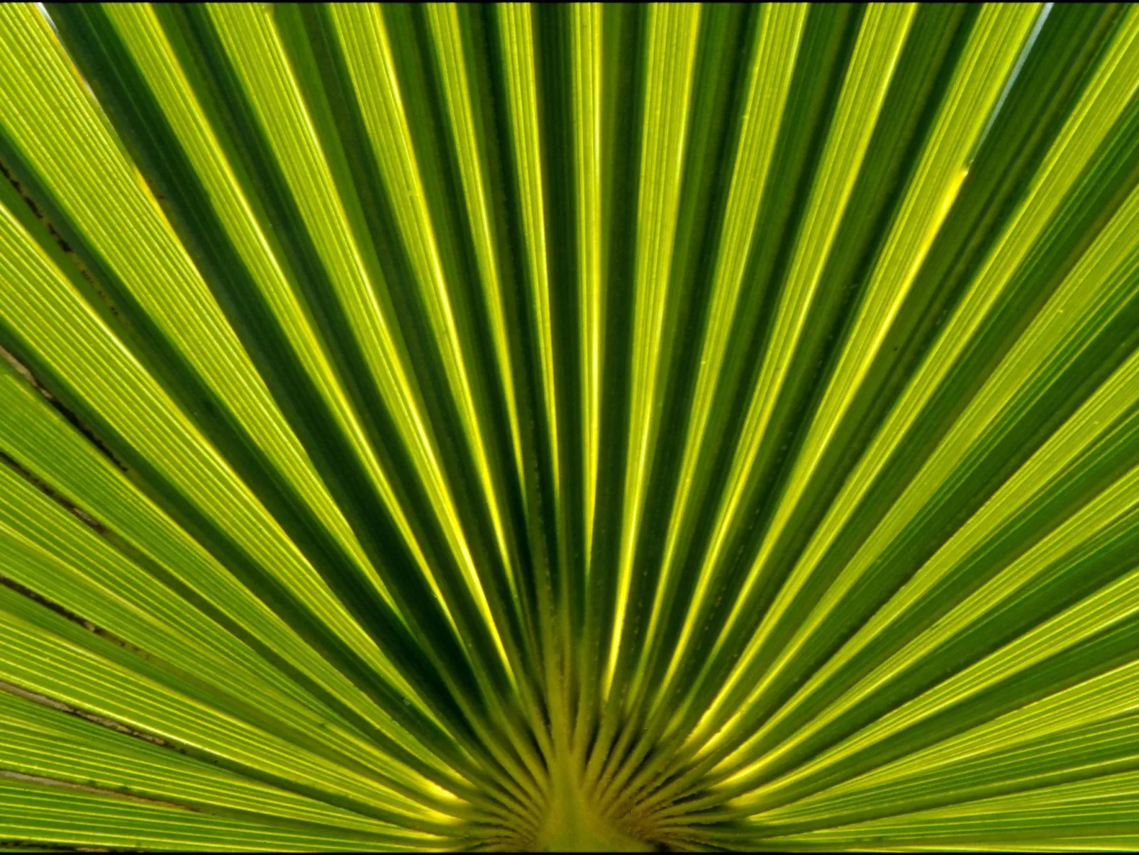 Studio in Strandnähe-Buiten