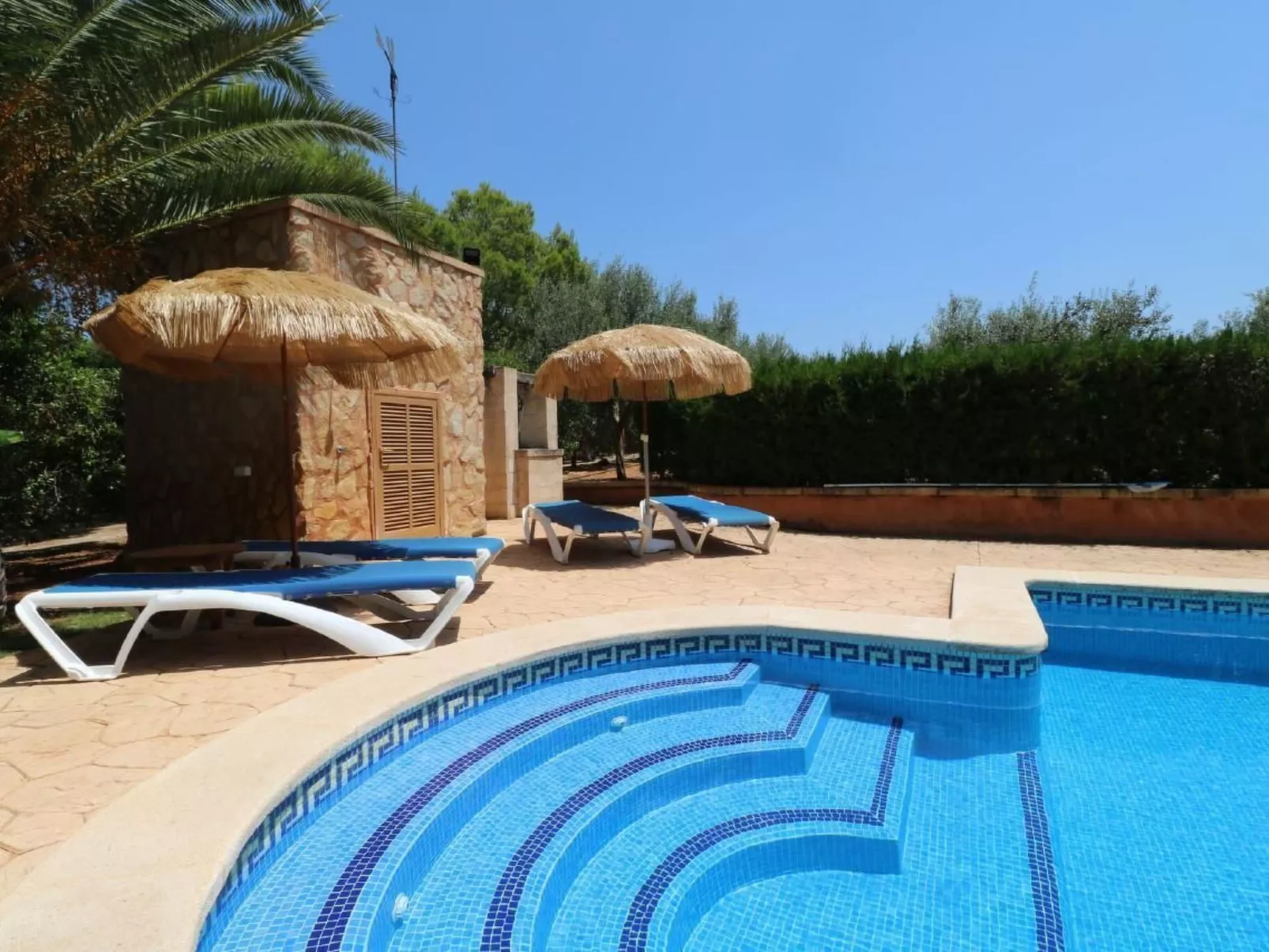 Fi. Camaron-Crestall-Image-tags.info