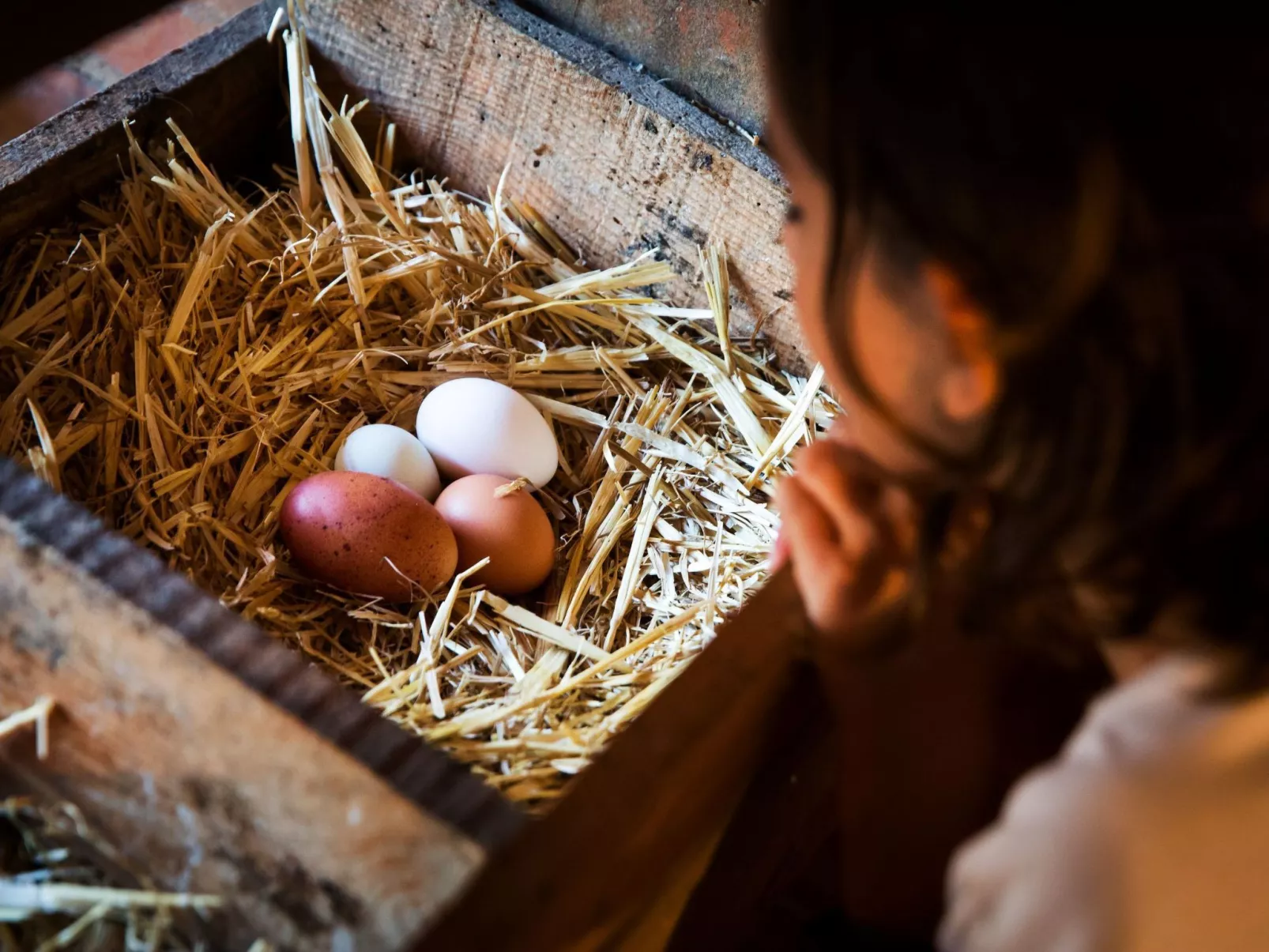 "Cobert del Carro".-Image-tags.info