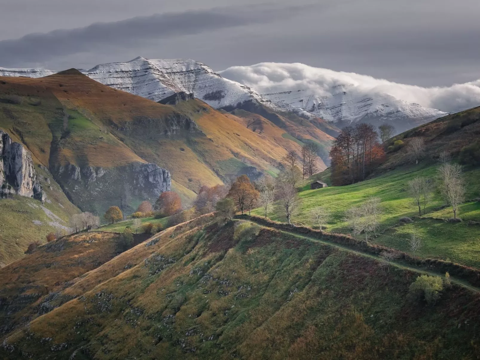 Fachwerkhaus mit Garten - Image-tags.info