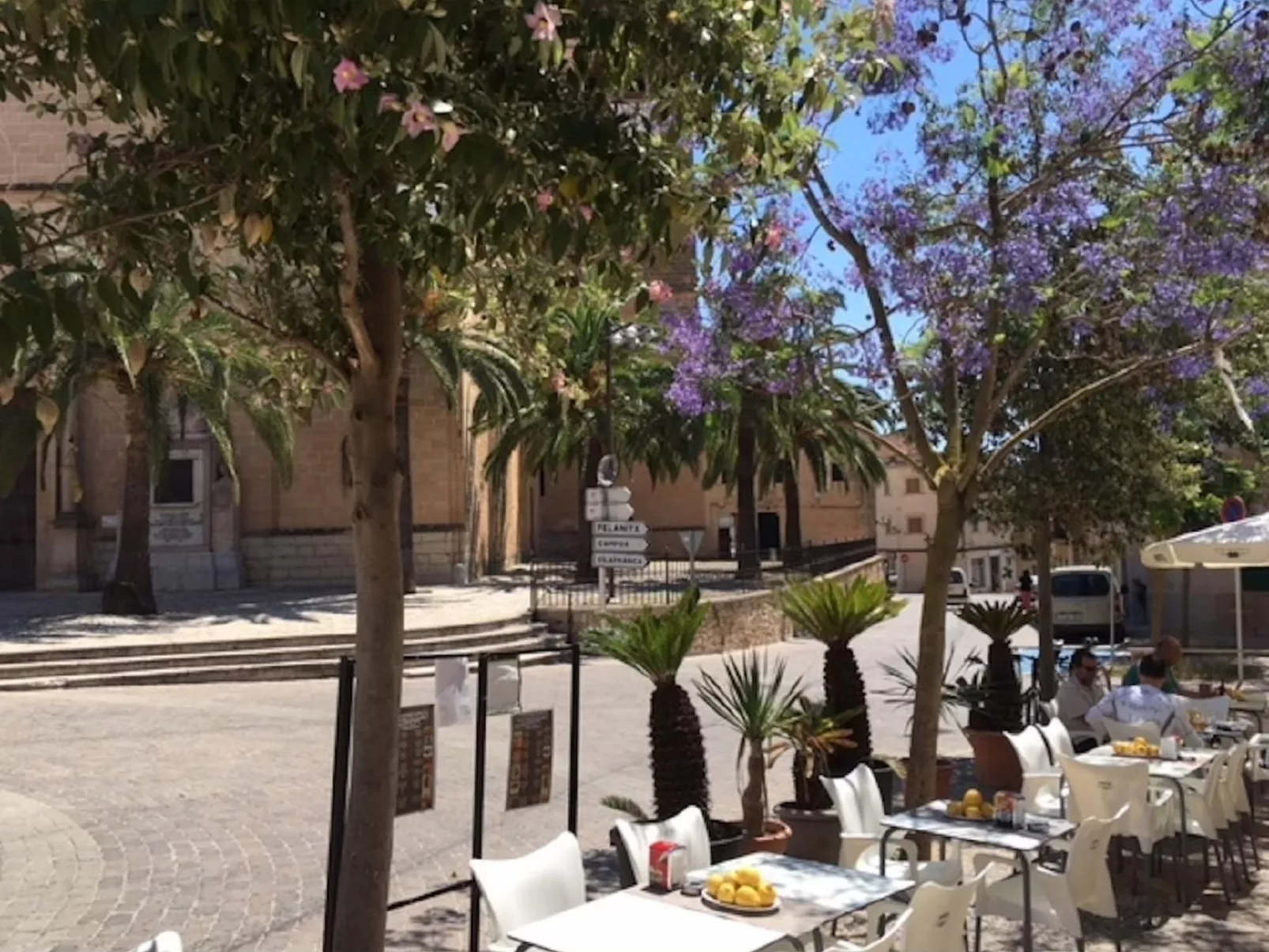 Finca Torro Perdido-Image-tags.info