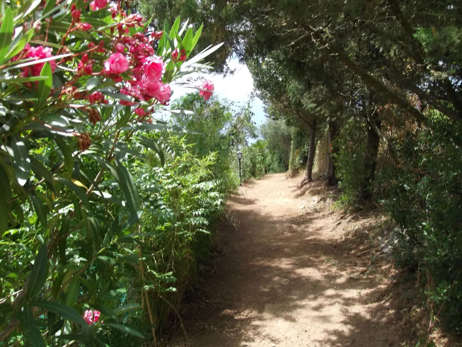 Casa Montecote Öko-Resort - La Casita-Binnen