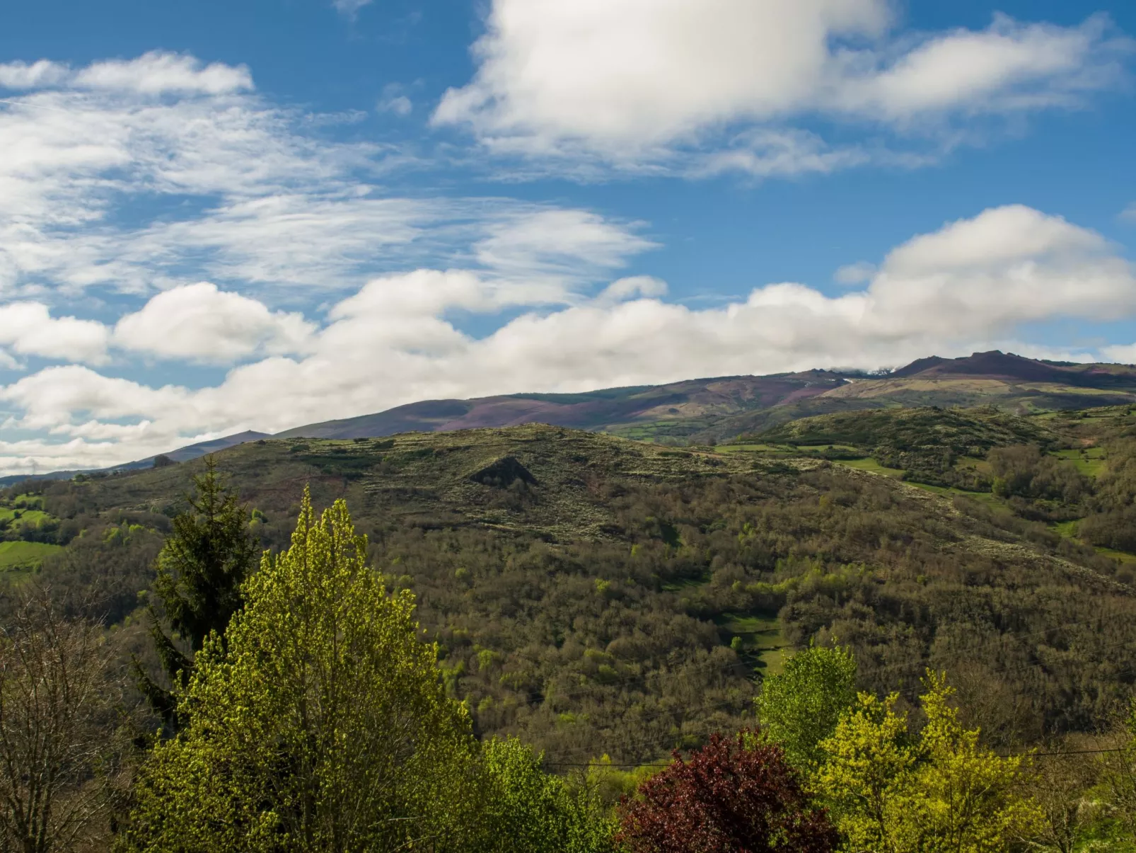 Mit Wasserblick-Buiten