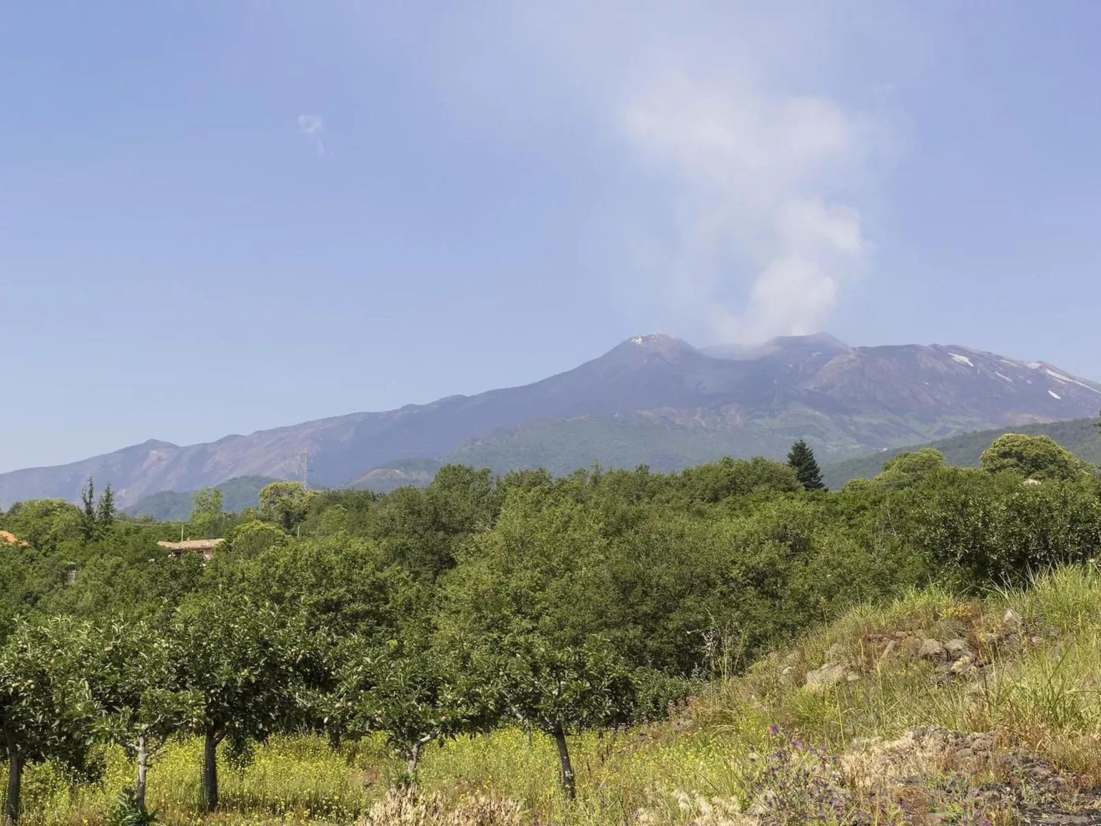 Villa Le Vignoble in Montargano-Binnen