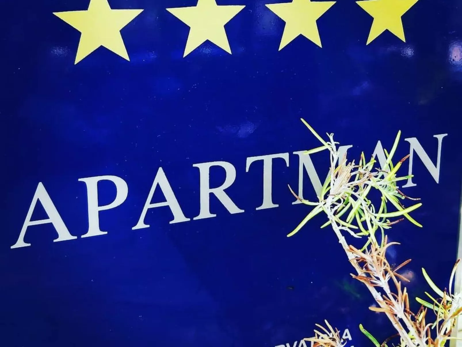 Michele-Mandarin-Buiten