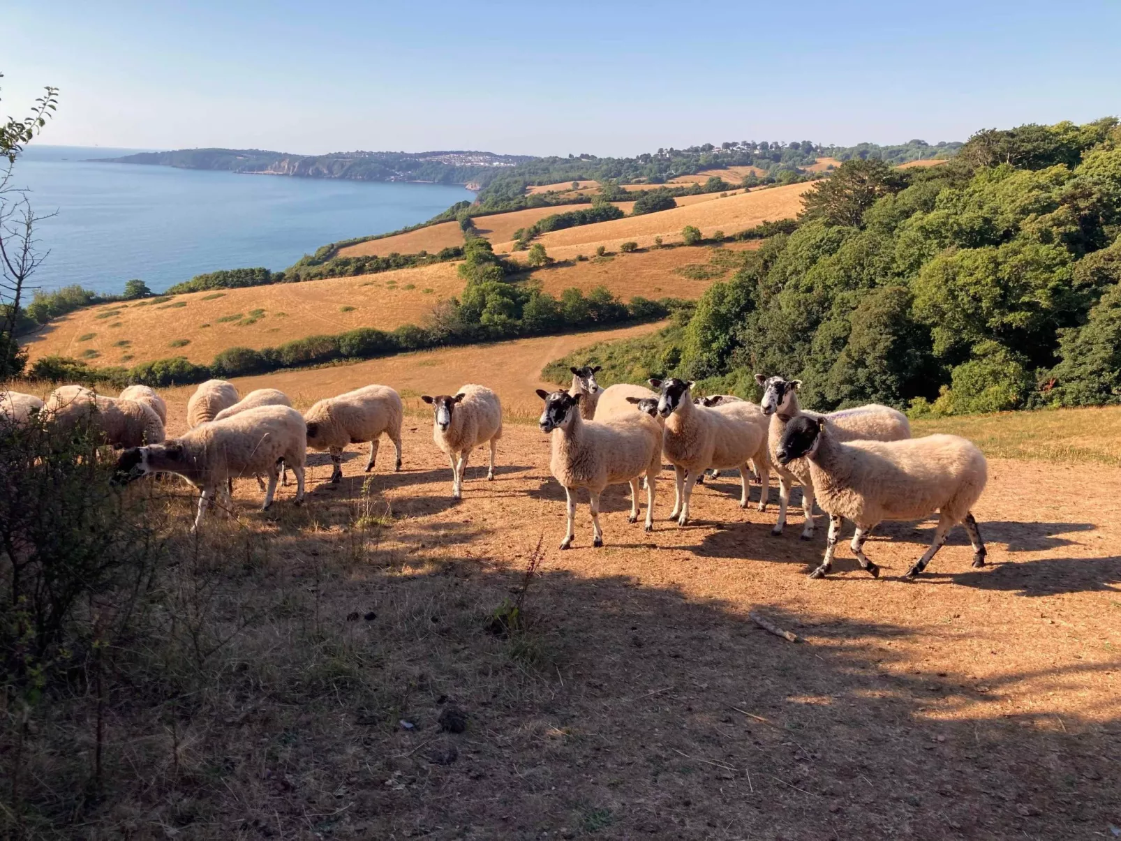 Admirals Suite-Buiten