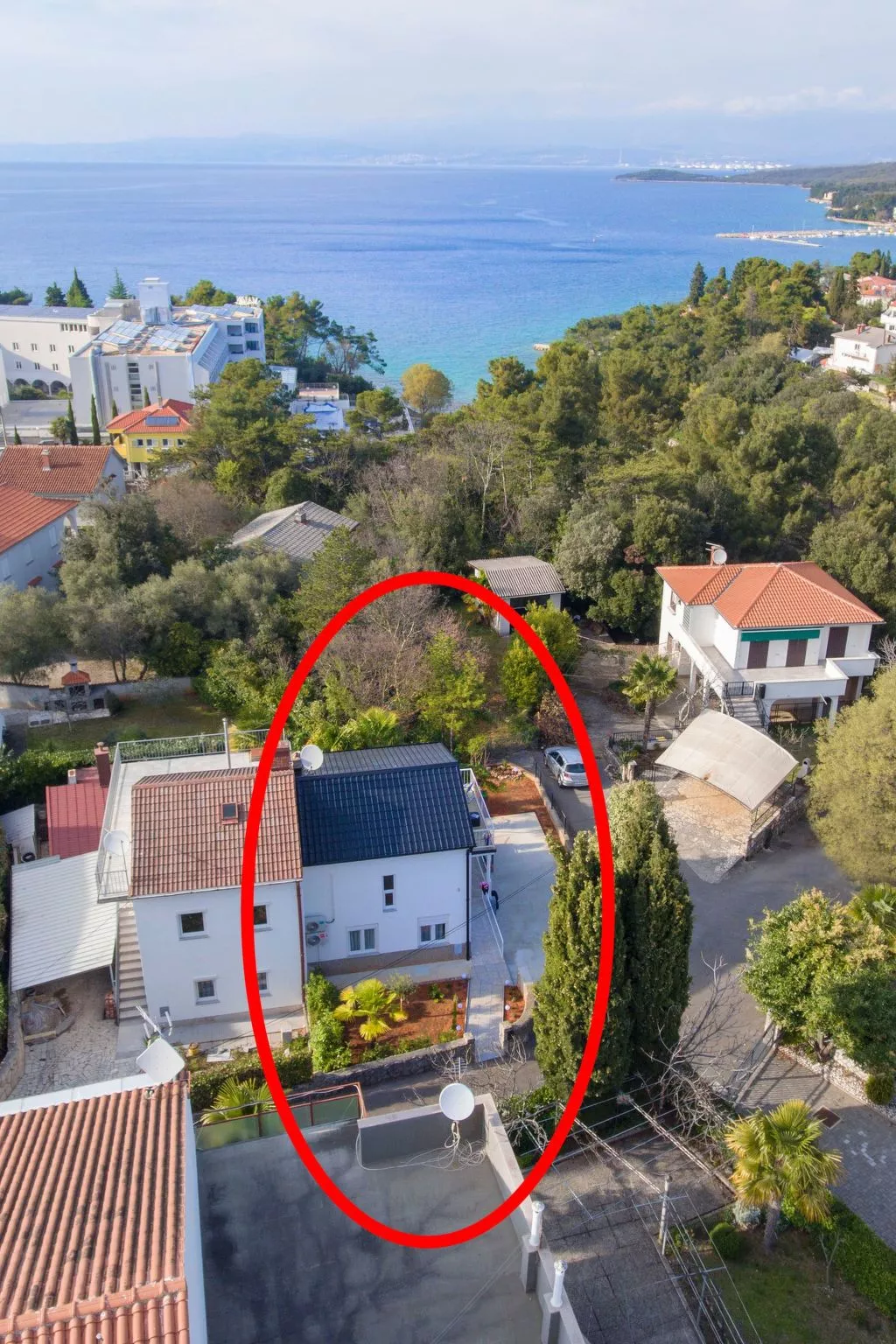 Jasnica-Image-tags.info