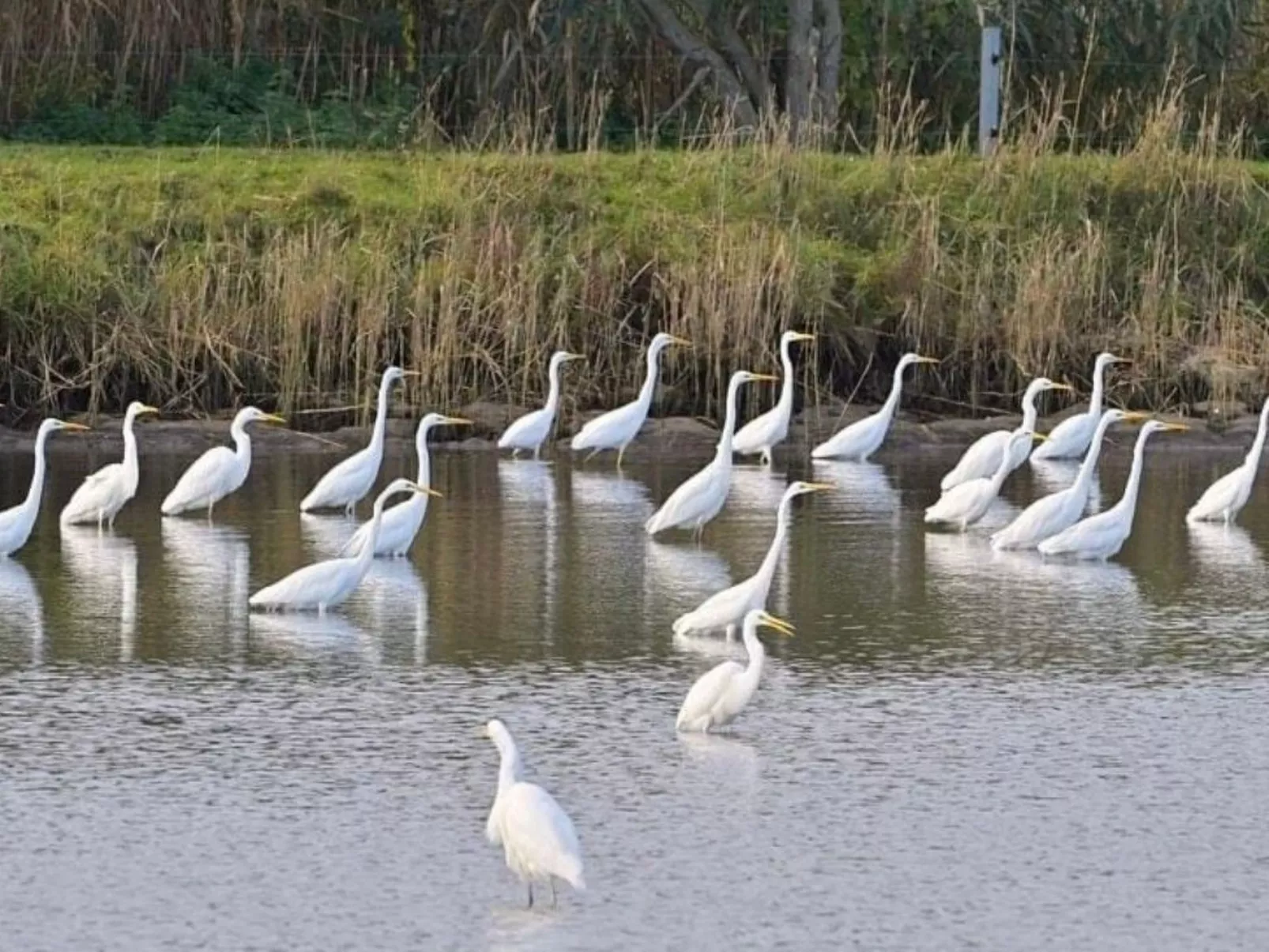 In Linum mit Garten, Terrasse und Grill-Image-tags.info