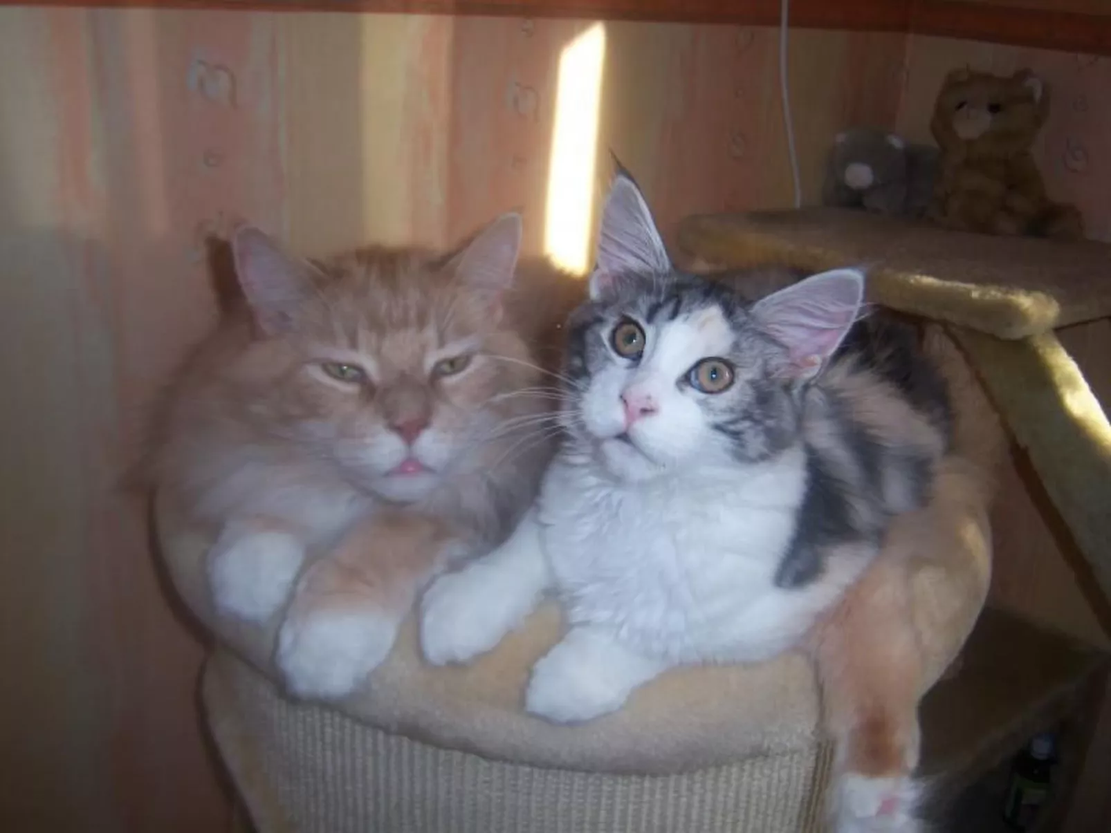 Westrich in guter Ausflugslage-Binnen