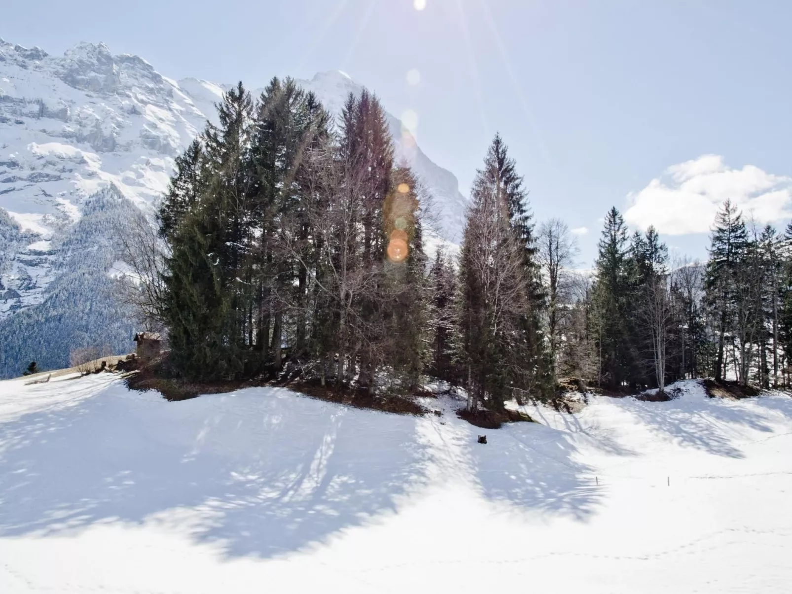 Apartment Grindelwaldgletscher-Buiten
