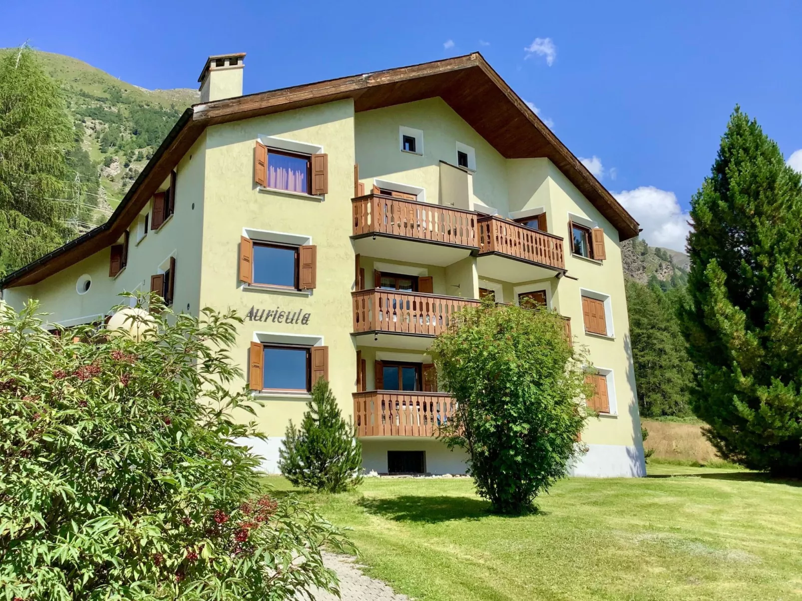 Chesa Auicula-Binnen