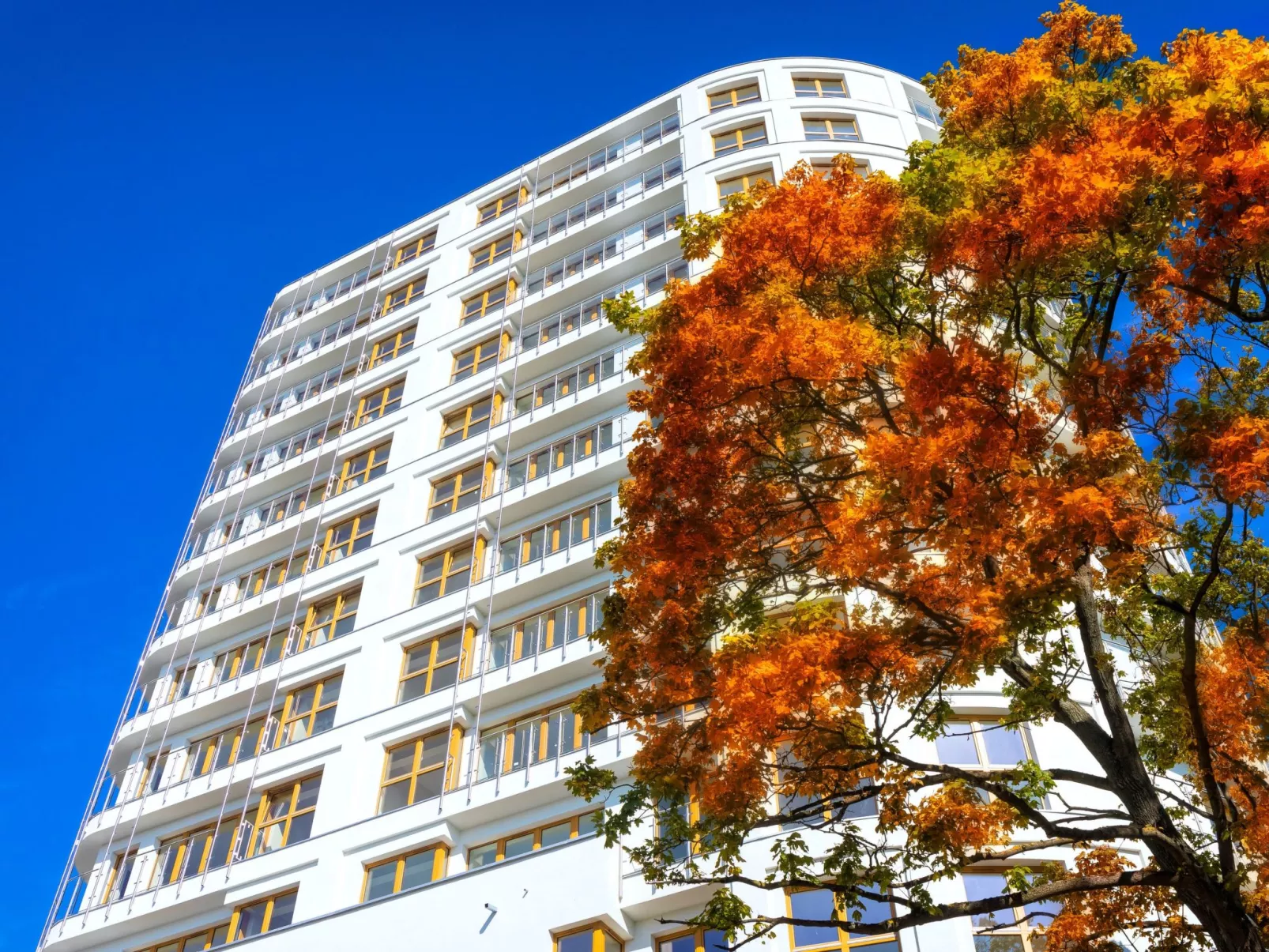 Urlaub auf Usedom - Ferienwohnung Tower 13-Image-tags.info