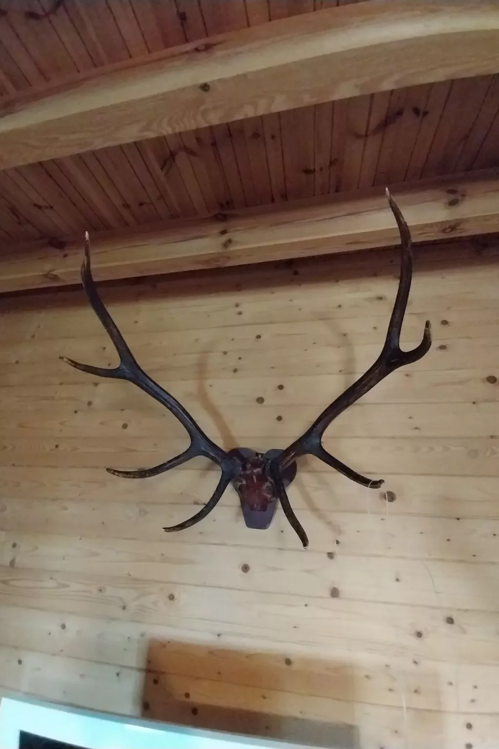 "Eagle Cottage II" unbeschwerter Urlaub-Binnen