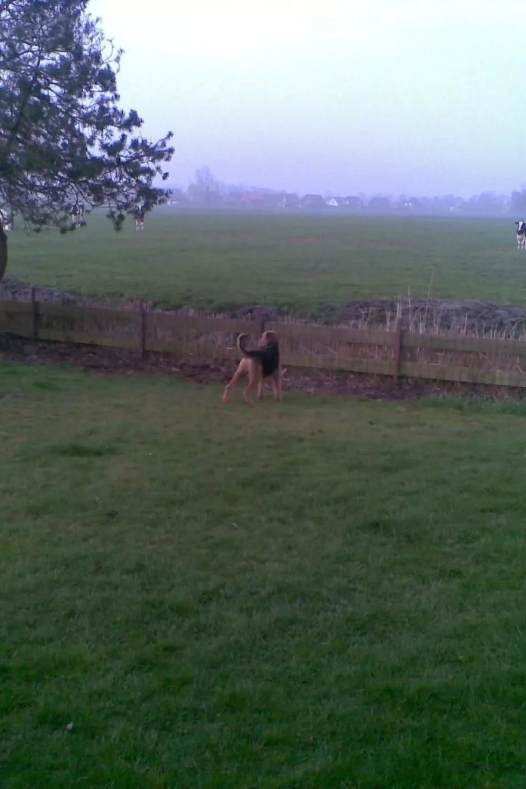 Nurdachhaus Klabautermann mit Terrasse und Garten - Image-tags.info