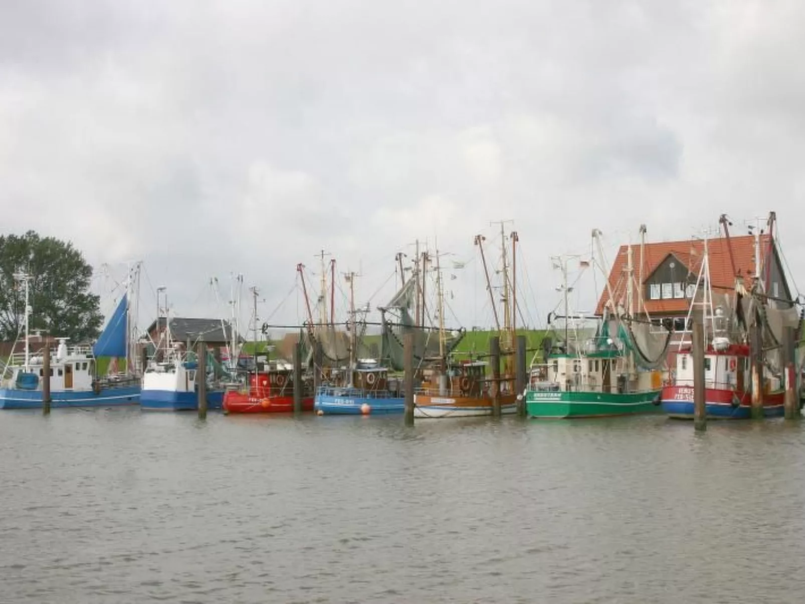 Mit Wintergarten und Garten am Deich - Buiten