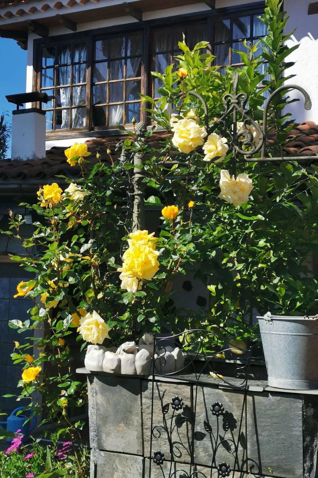 Renovierte Finca Paradies mit privatem Pool-Buiten